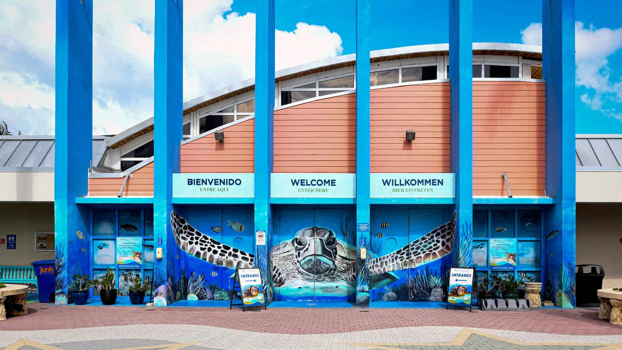 The entrance to the Cayman Turtle Centre, painted with a vibrant mural of a sea turtle and underwater scenery. The blue pillars and welcoming signs in multiple languages invite visitors to explore marine life conservation efforts.