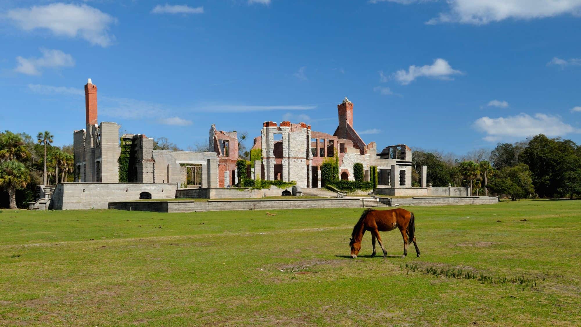 The crumbling ruins of a grand mansion rise behind a grassy field where a lone brown horse grazes peacefully, surrounded by palm trees and under a vibrant blue sky.