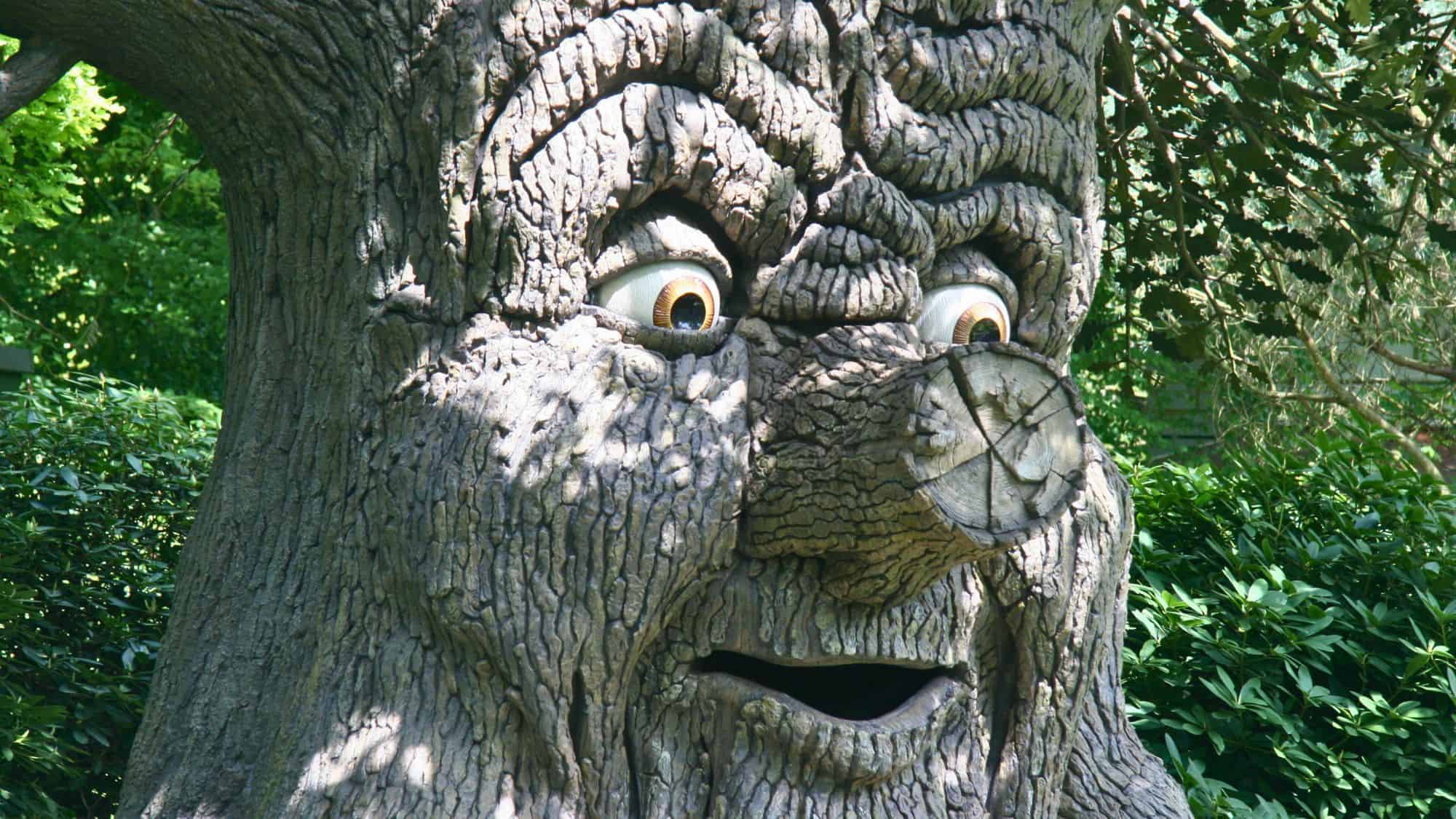 A whimsical, carved tree with large expressive eyes and a wooden mouth, appearing as if it can talk. The tree's bark has deep grooves, adding to its enchanted and animated look, surrounded by green foliage in a theme park setting.