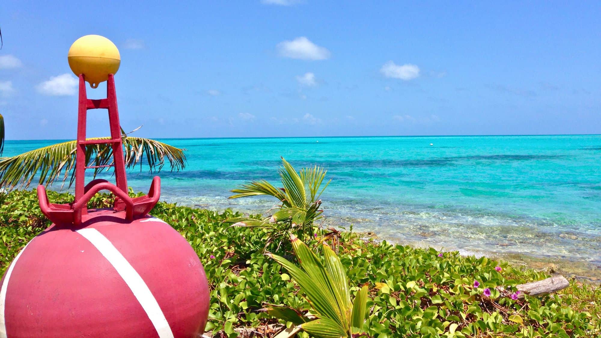 A vibrant coastal scene featuring a red and white dive buoy with a yellow ball on top, surrounded by lush greenery. The crystal-clear turquoise waters of the Caribbean stretch to the horizon under a bright blue sky.