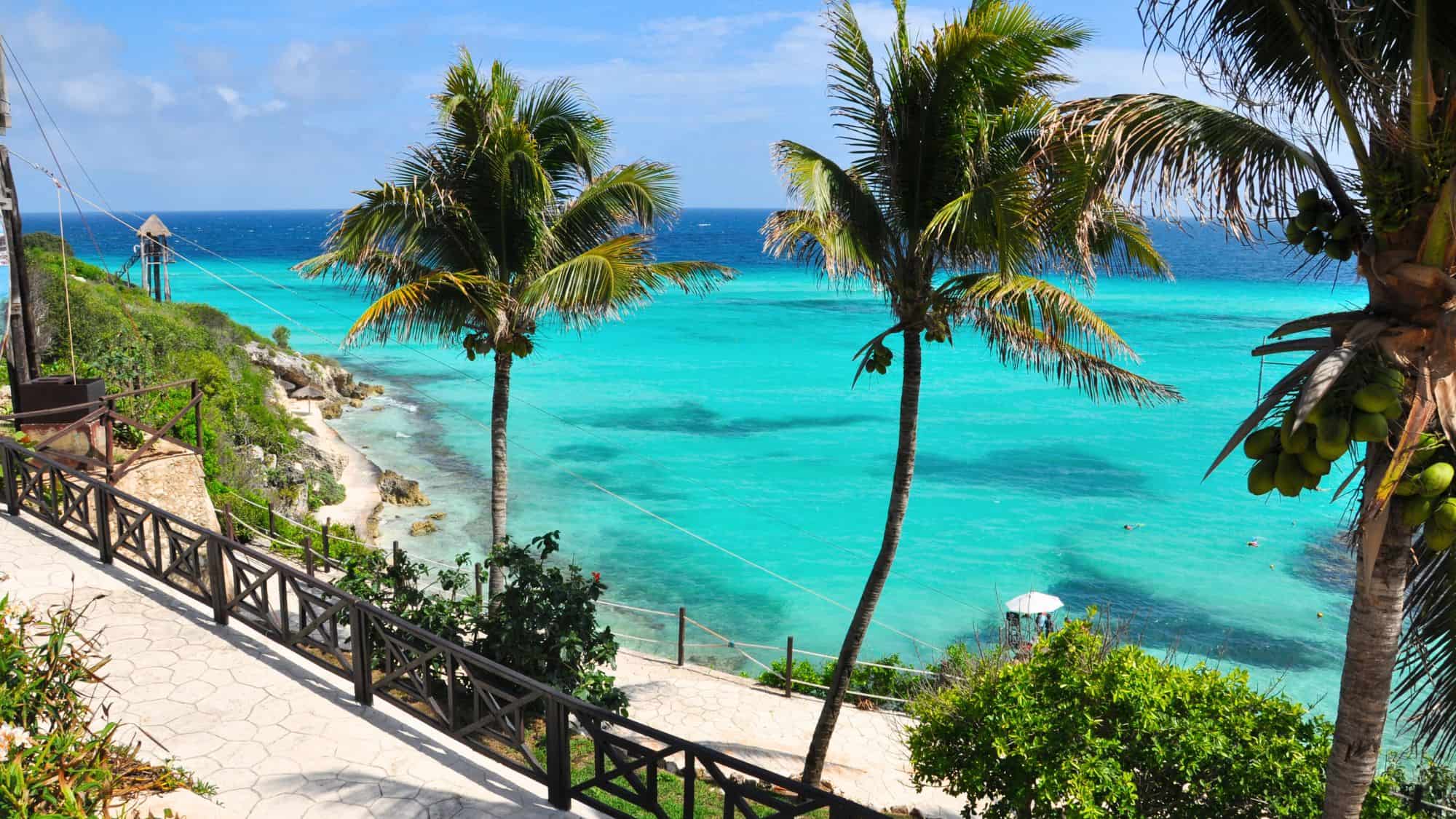 A scenic coastal view framed by swaying palm trees, overlooking the strikingly blue Caribbean Sea. The rocky shoreline and small structures add to the tropical charm.