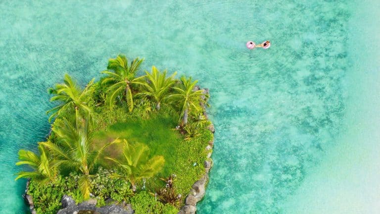 A tiny, lush green island surrounded by shallow, crystal-clear water. A person floats nearby on a pink inflatable, enjoying the serene tropical atmosphere.