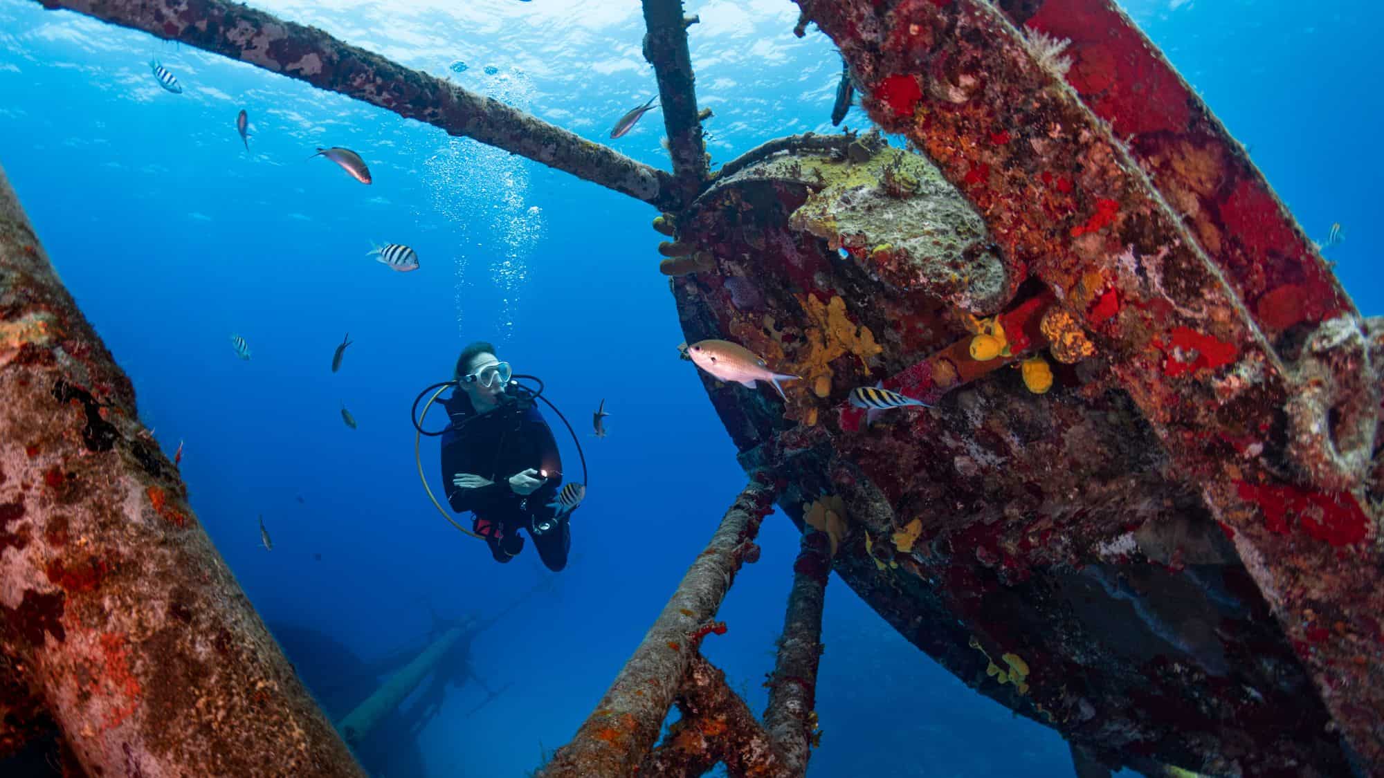 A scuba diver explores the remains of the Kittiwake shipwreck, surrounded by vibrant marine life. The deep blue waters contrast with the rusted ship's structure, which is covered in colorful coral and algae.