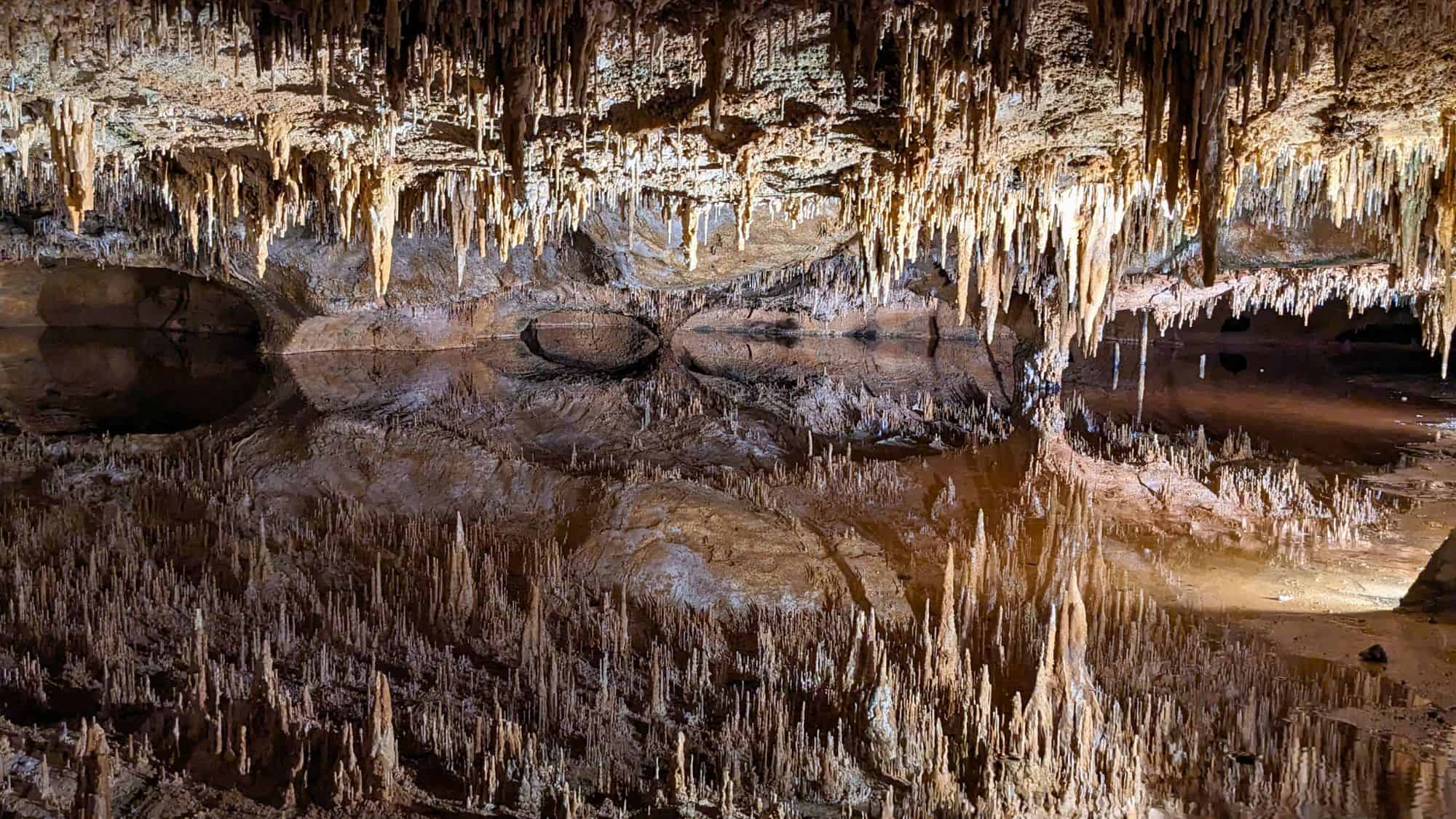 A mesmerizing underground scene of Luray Caverns featuring an almost perfectly still body of water reflecting intricate stalactites hanging from the cave ceiling, creating an illusion of a double chamber.