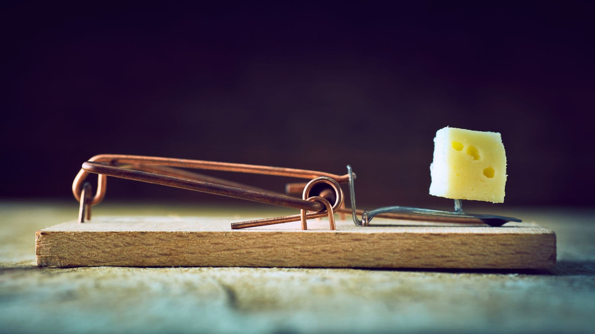 A classic wooden mousetrap is set with a small cube of Swiss cheese, its metal spring mechanism ready to snap.