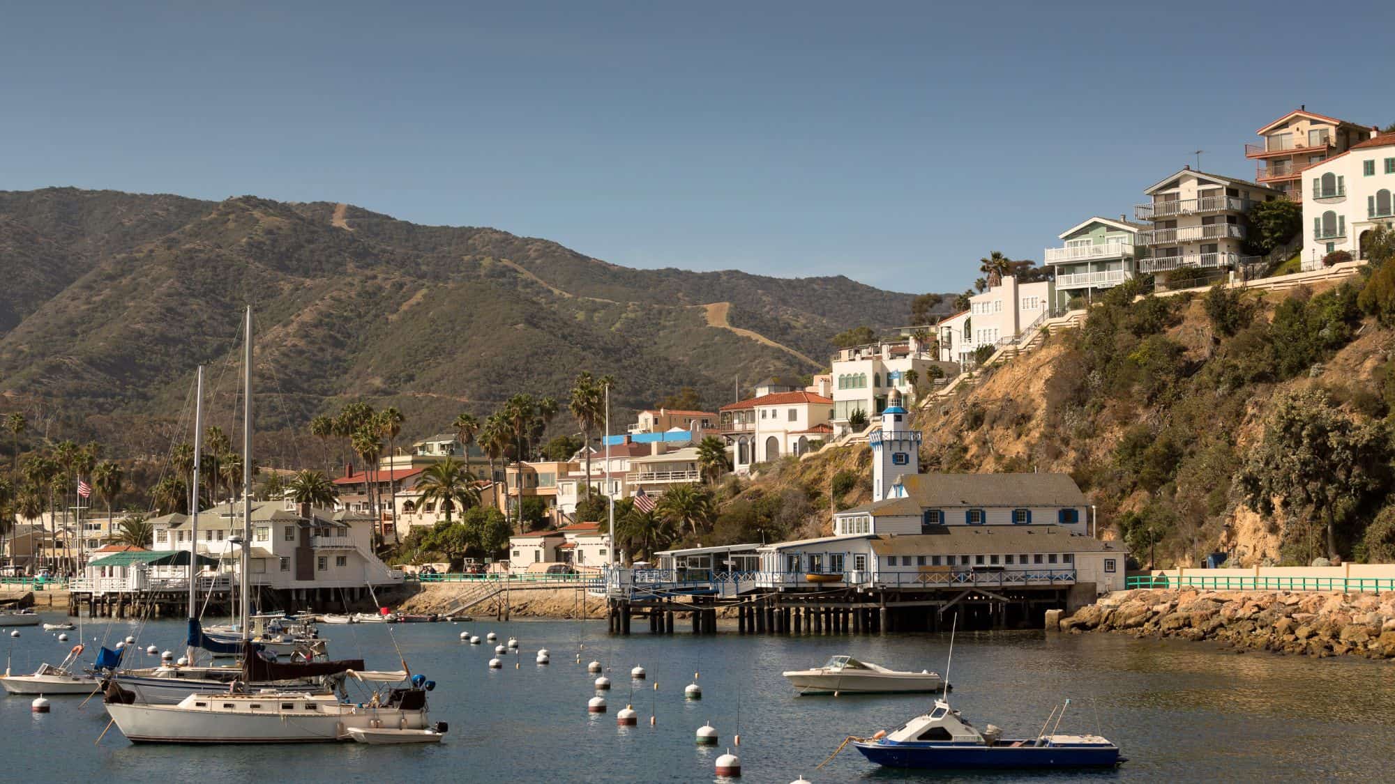 A scenic harbor with sailboats and yachts floating on calm waters, backed by colorful hillside homes. The lush green mountains create a stunning contrast against the oceanfront village.