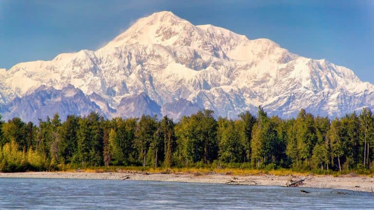 A majestic view of snow-covered Denali rising above the tree line, with a calm river flowing in the foreground and a clear blue sky overhead. The image captures the grandeur of Alaska's tallest peak from the Talkeetna area.