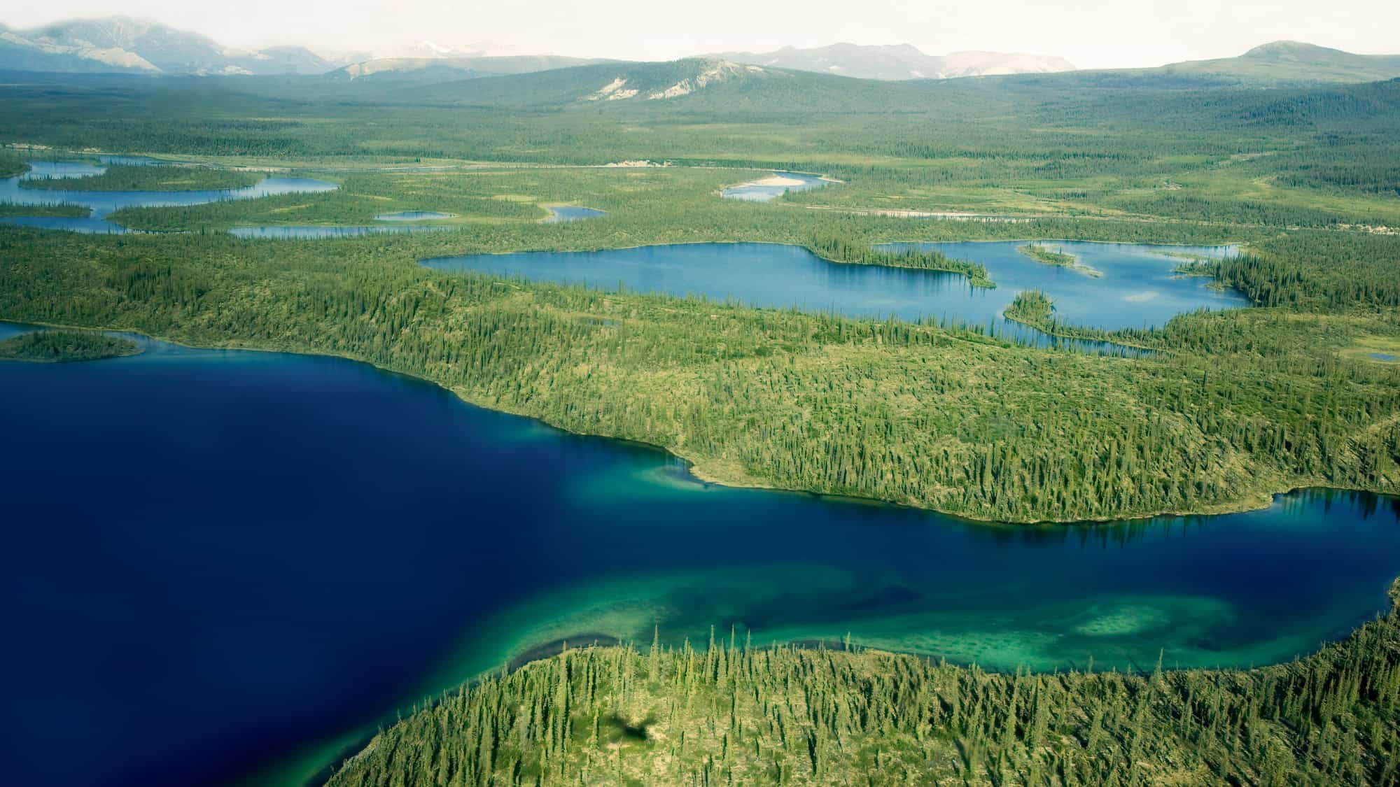 Aerial view of a pristine wilderness with interconnected lakes, dense green forests, and distant hazy mountains under a bright, pale sky.