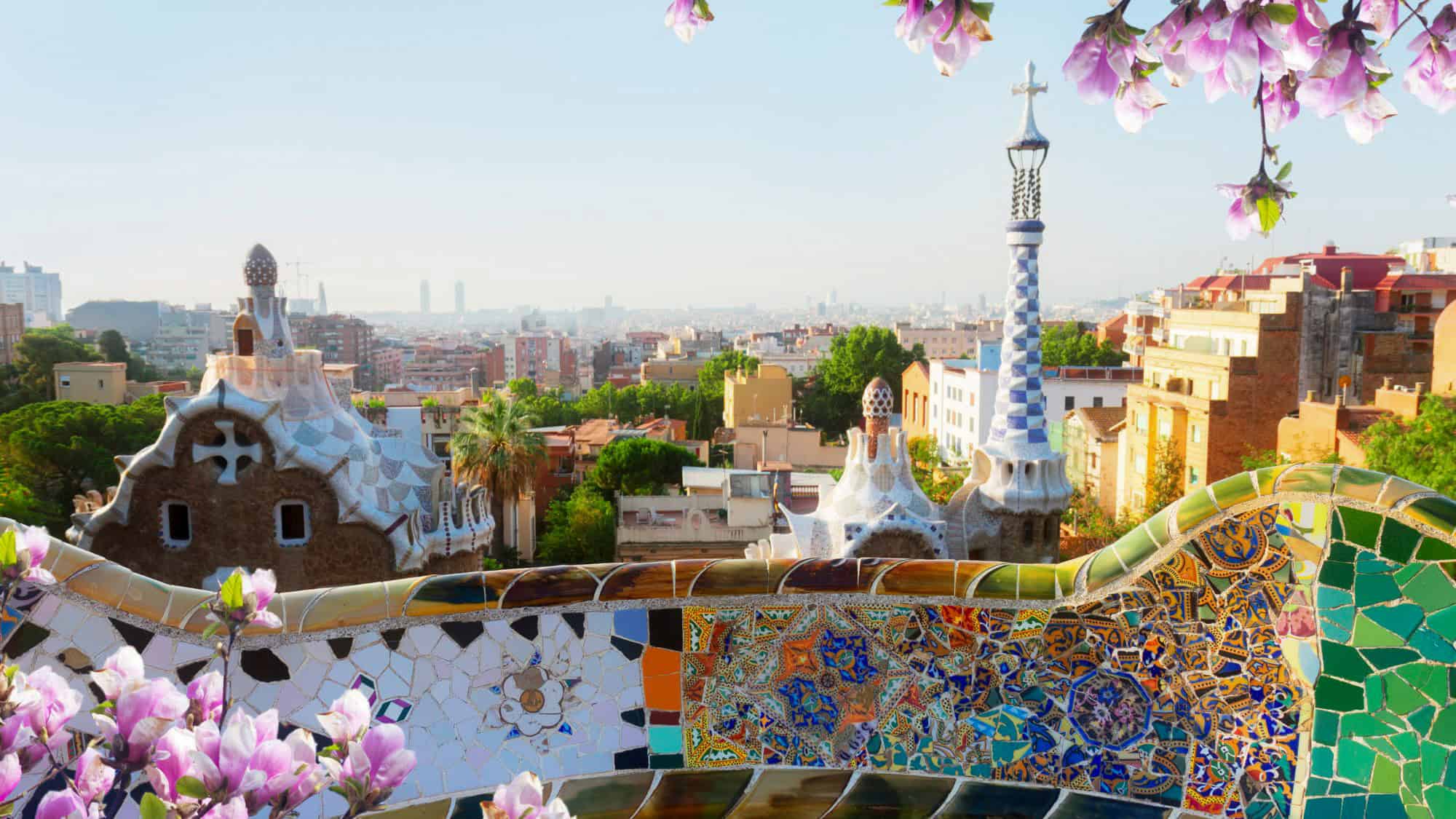 A panoramic view of Barcelona from the colorful mosaic terraces of Park Güell, with the city's unique architecture framed by blooming pink flowers.