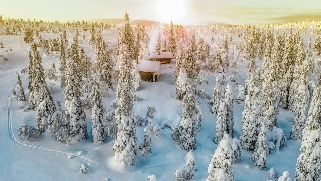 Snow covers the ground and trees in a forest with a couple cabins in lapland, the northern area of finland