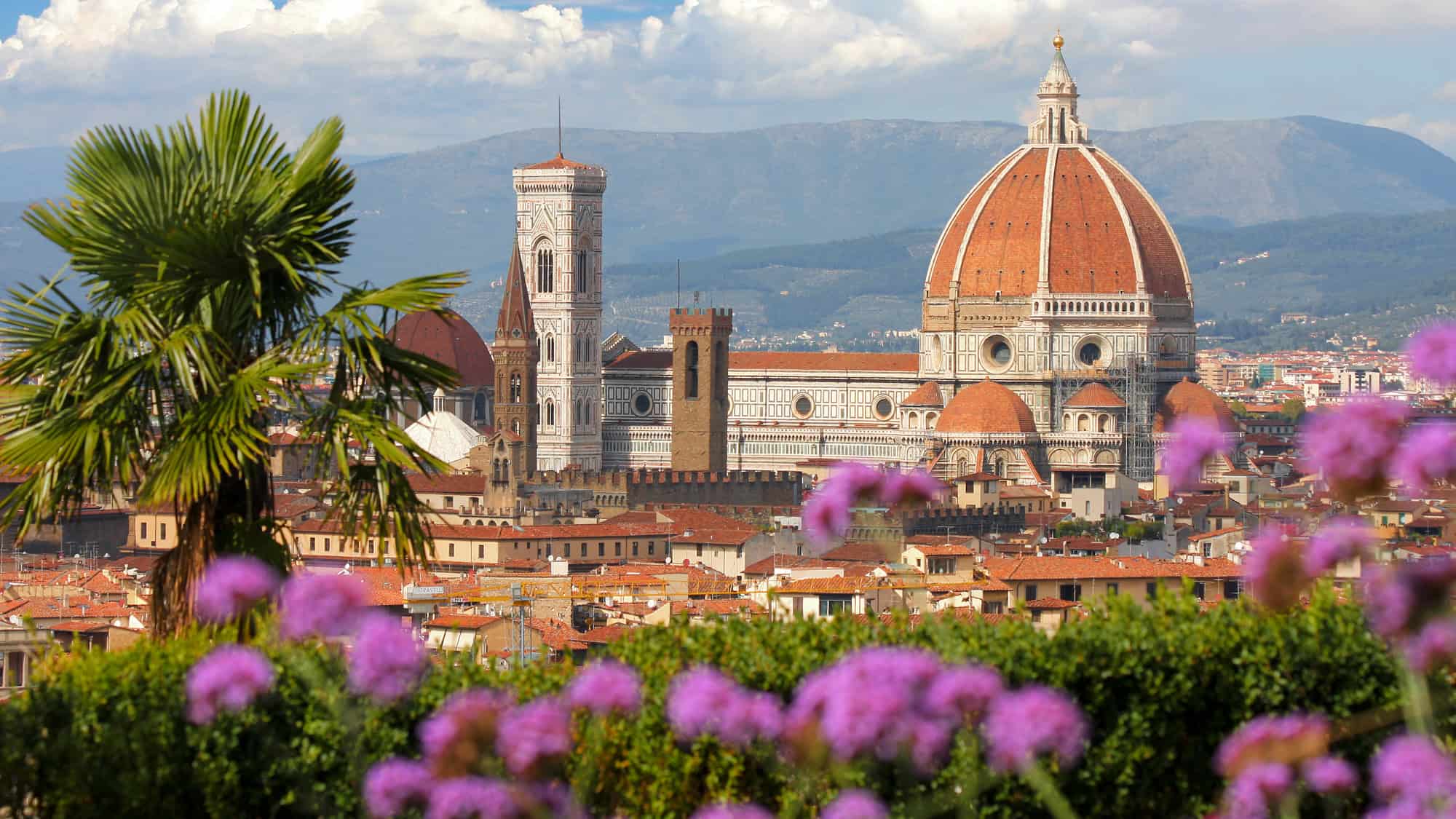A spectacular view of Florence’s iconic Duomo and bell tower, seen through the soft blur of pink and purple flowers in the foreground, with rolling hills in the distance.