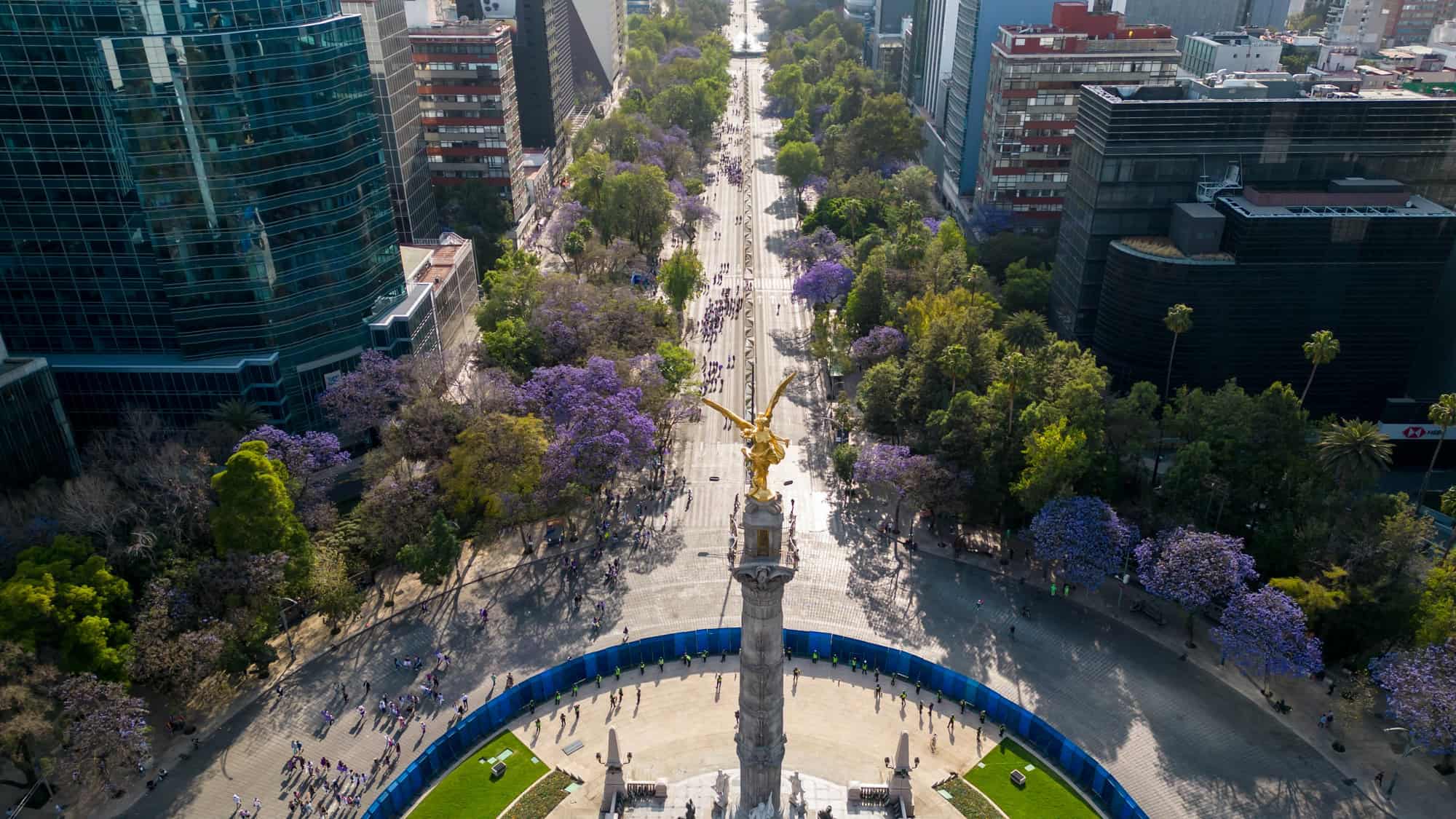 A high-angle aerial view of Mexico City’s Paseo de la Reforma, showcasing the golden Angel of Independence monument surrounded by jacaranda trees in full bloom. The boulevard stretches into the distance, lined with modern skyscrapers.