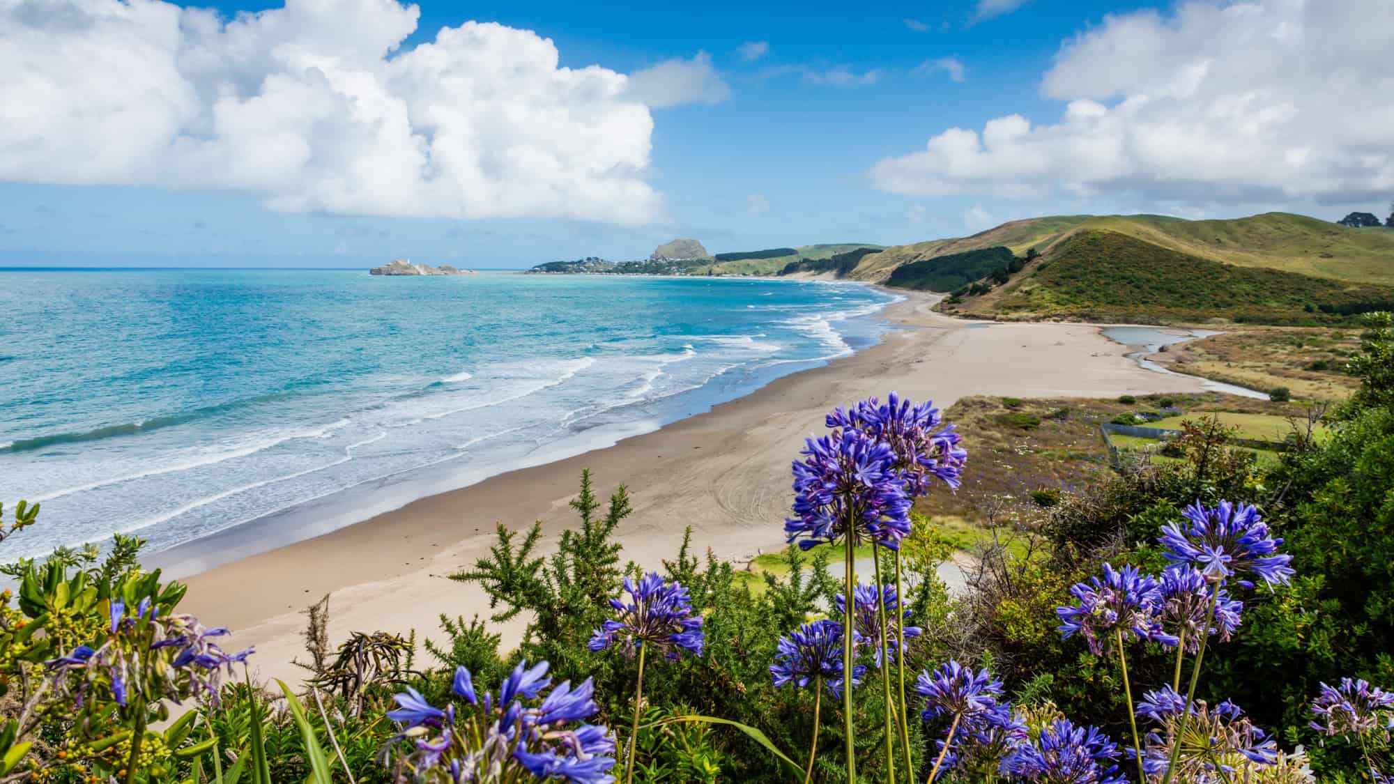 A sweeping coastal landscape with turquoise ocean, a curving sandy beach, and rolling green hills under a bright sky.