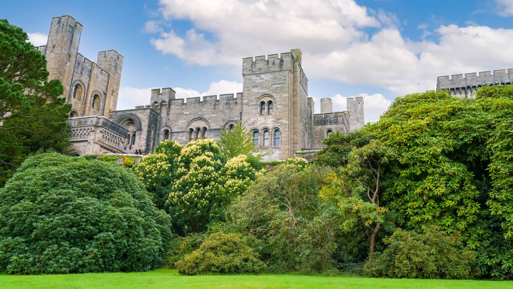 The top half of Penrhyn Castle emerges from lush greenery, its towers and arched windows rising over the treetops like a medieval stronghold framed by manicured gardens.