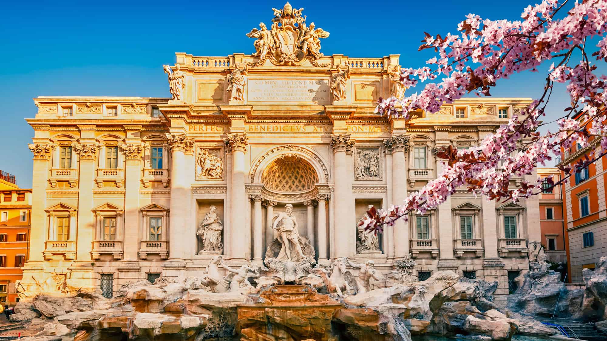 The majestic Trevi Fountain bathed in golden sunlight, with pink cherry blossoms framing the image, adding a touch of springtime charm.