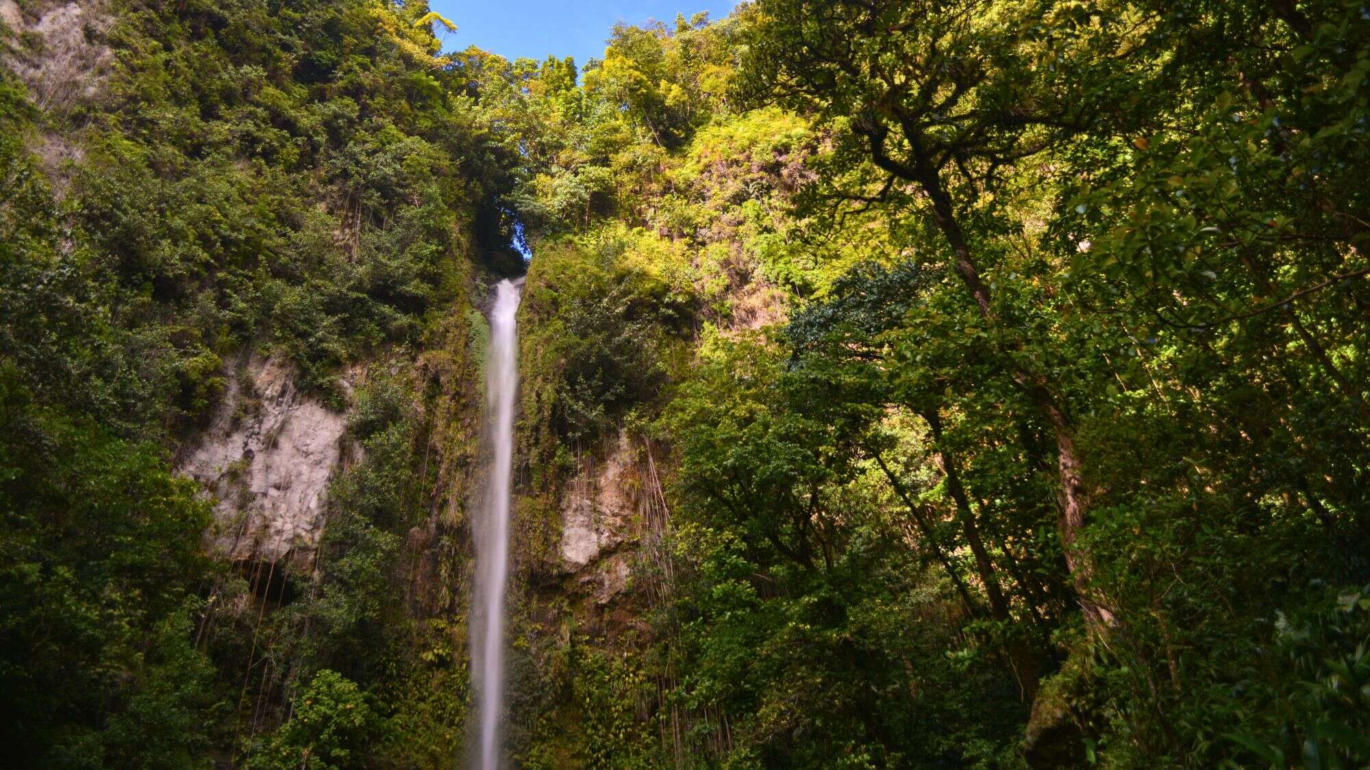 A tall, narrow waterfall plunges down a cliff surrounded by thick green forest, partially framed by tree branches and sunlight breaking through the canopy.