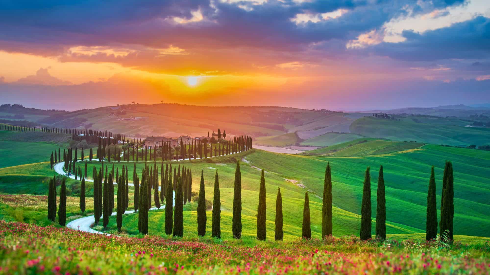 Crete Senesi, Tuscany - 15th May 2024. Sunrise with typical Tuscan landscape, rows of cypress trees in spring season - Italy travel background in Val D'Orcia