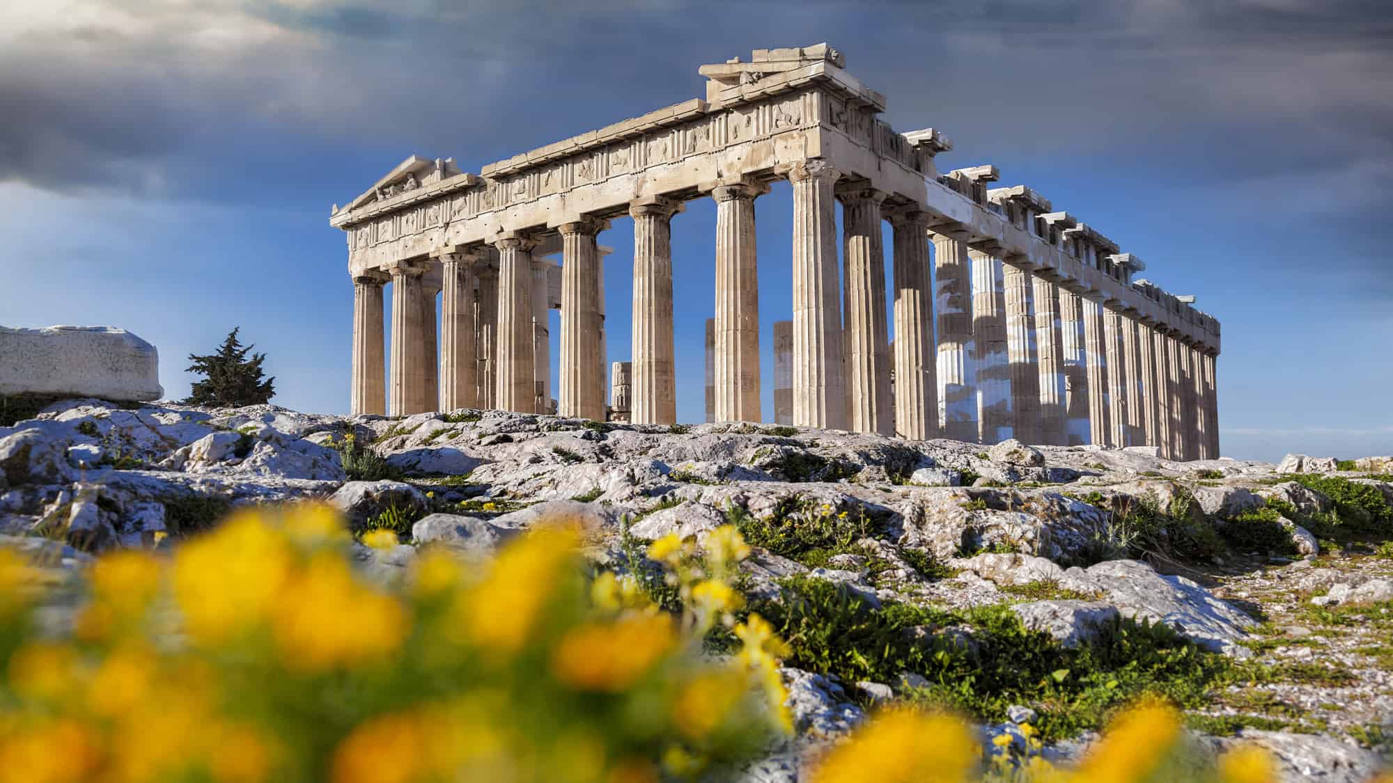 The ancient marble columns of the Parthenon rise against a partly cloudy sky in Athens, with vibrant yellow wildflowers blooming in the rocky foreground.