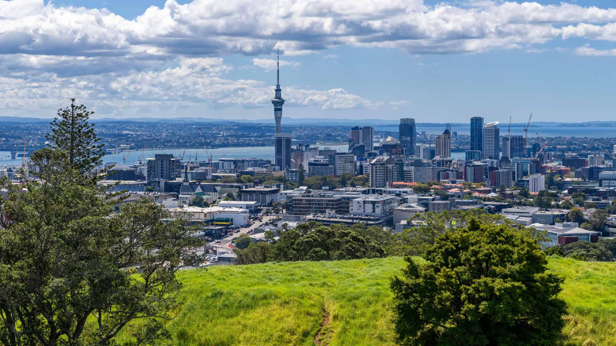 Panoramic view of Auckland, New Zealand, seen from a grassy hilltop with the iconic Sky Tower rising among the city's skyline, and the harbor and distant land stretching across the horizon under scattered clouds.