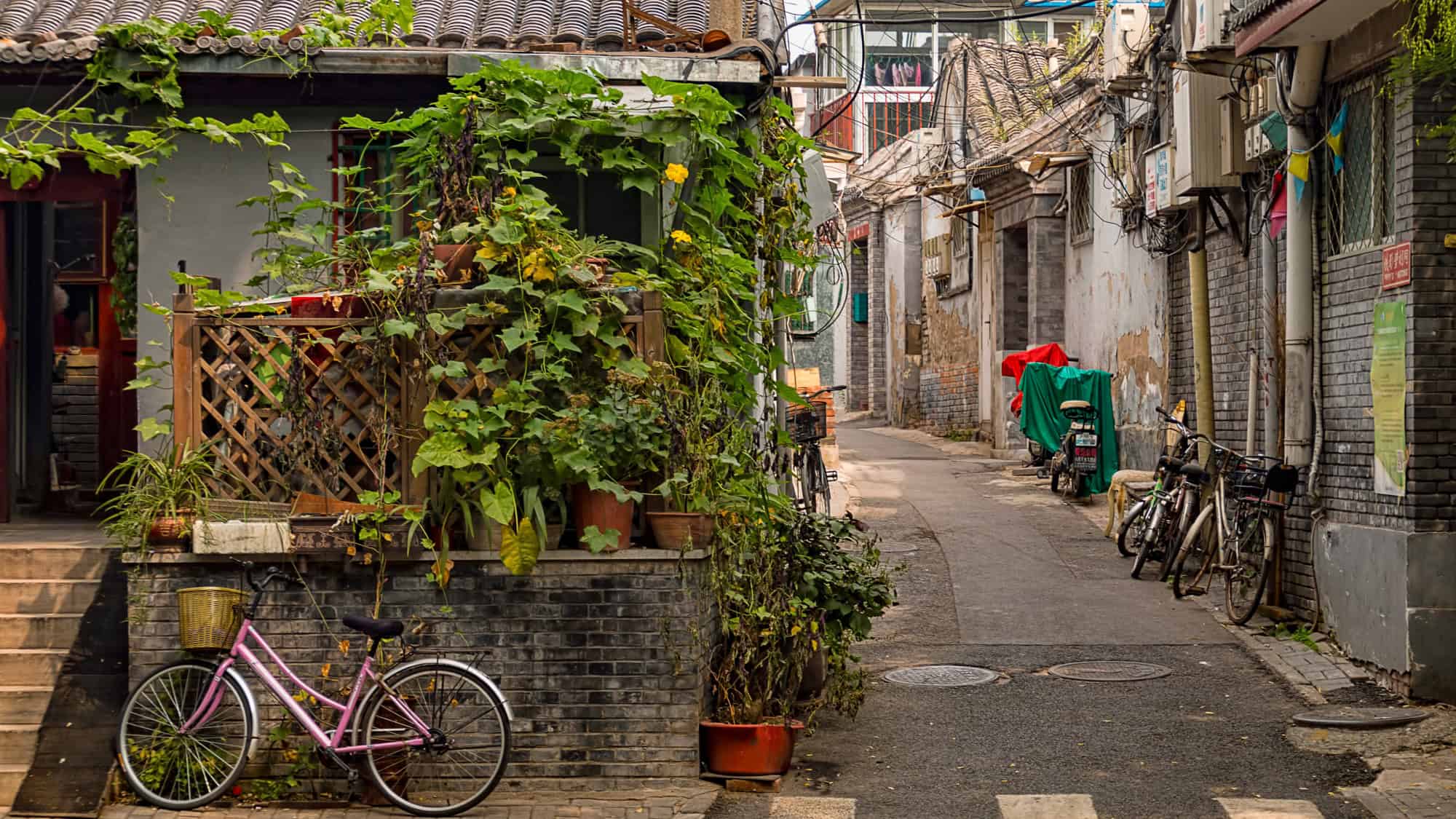 A cozy alleyway in a Beijing hutong neighborhood, featuring vine-covered walls, potted plants, bicycles, and laundry hanging, blending rustic charm with urban life.