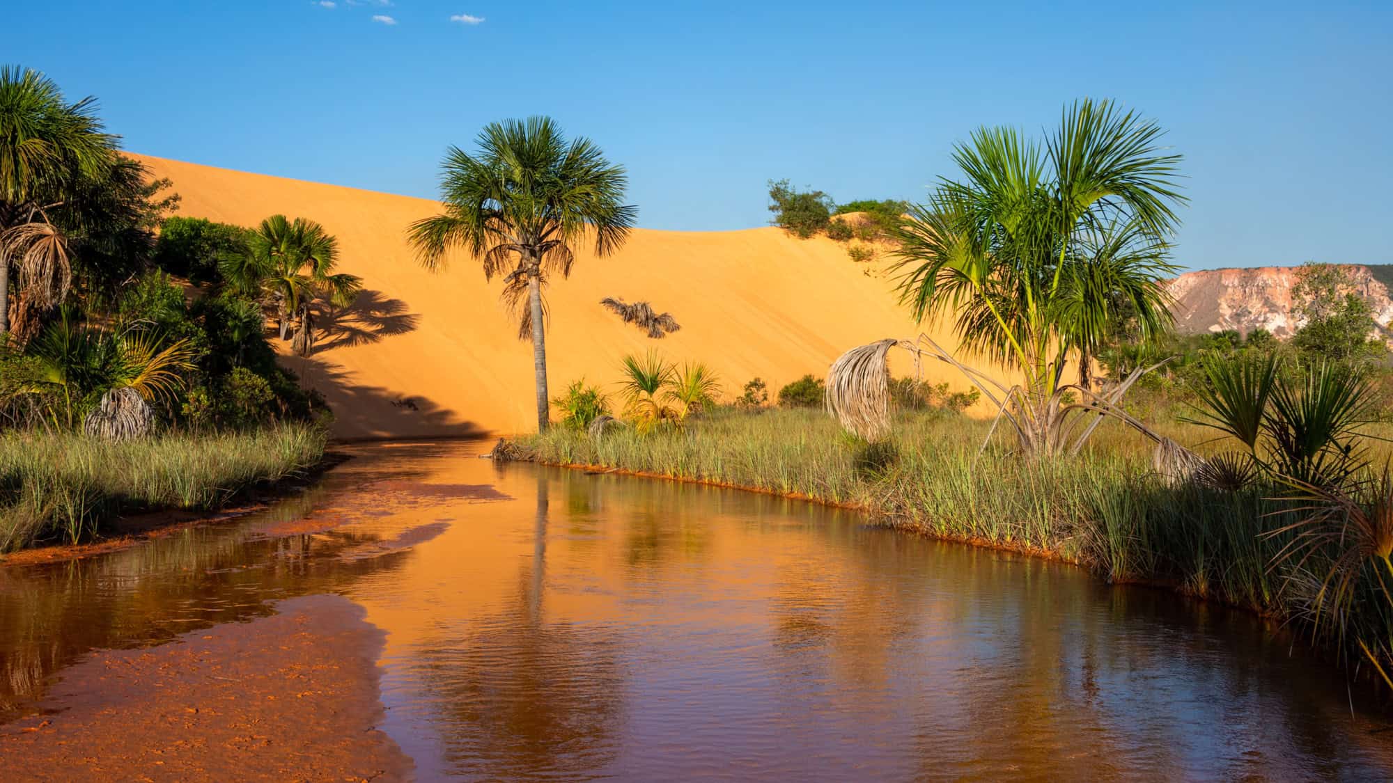 A vibrant scene of Jalapão State Park in Brazil, featuring an orange sand dune reflected in a clear, shallow stream bordered by tall grasses and palm trees.