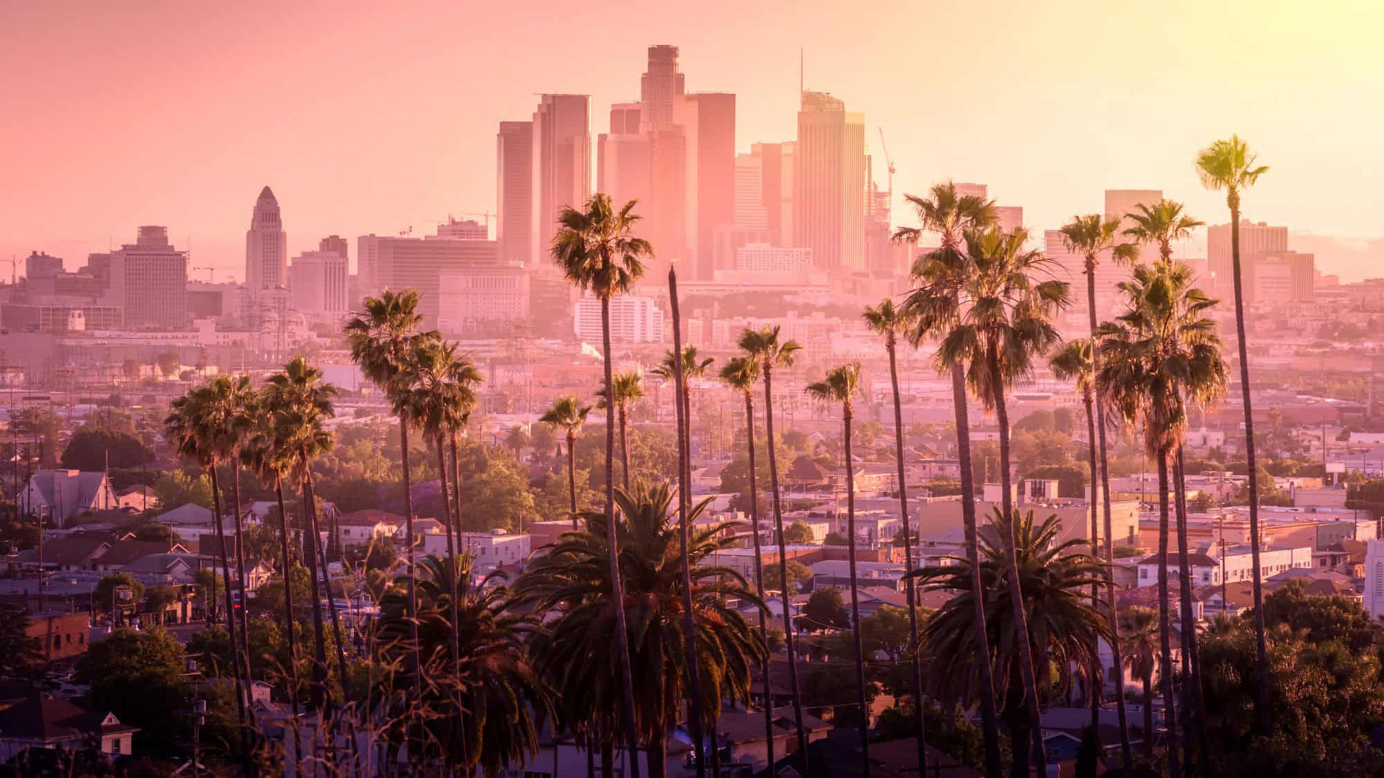 Tall palm trees silhouette against a dreamy, orange-pink sunset, framing the modern skyscrapers of downtown Los Angeles in a hazy urban sprawl.