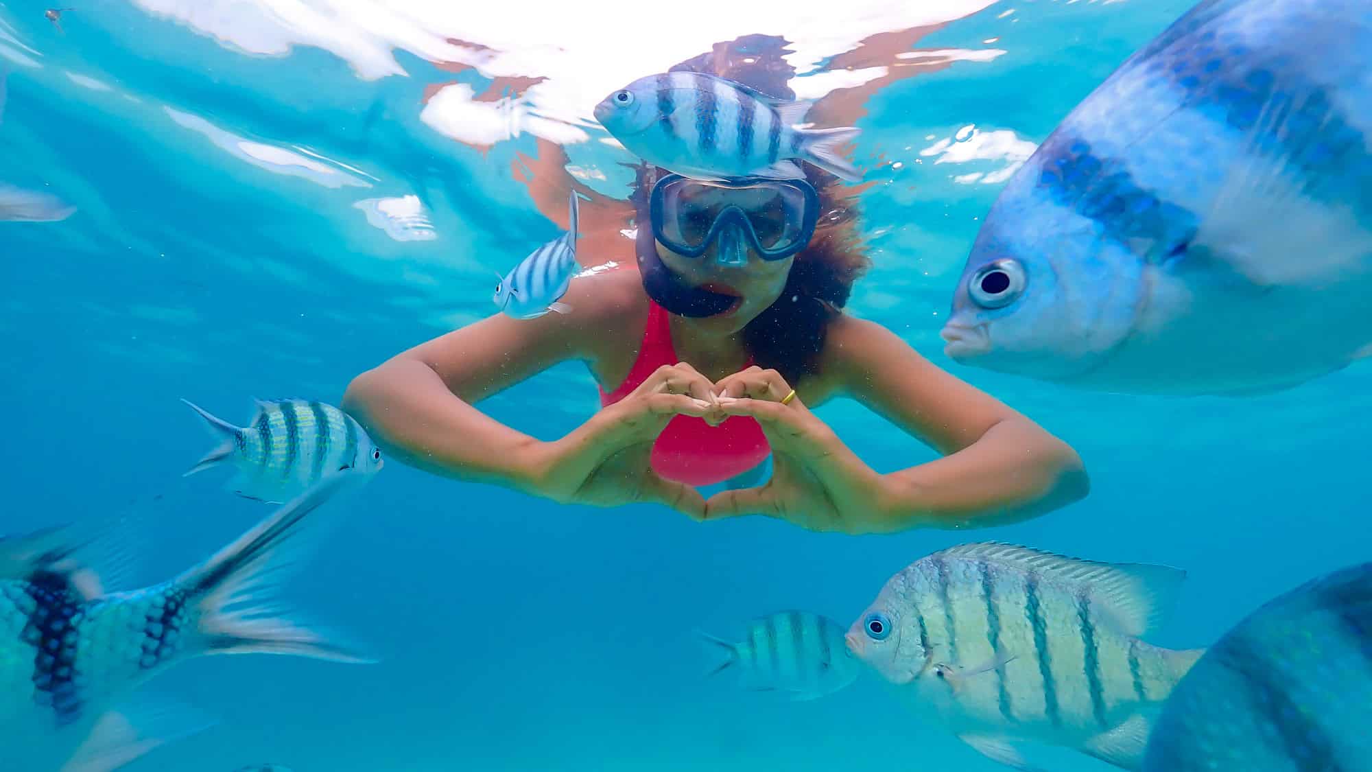 An underwater shot captures a snorkeler in a red swimsuit and mask making a heart gesture with her hands, surrounded by vibrant striped tropical fish in clear blue water.