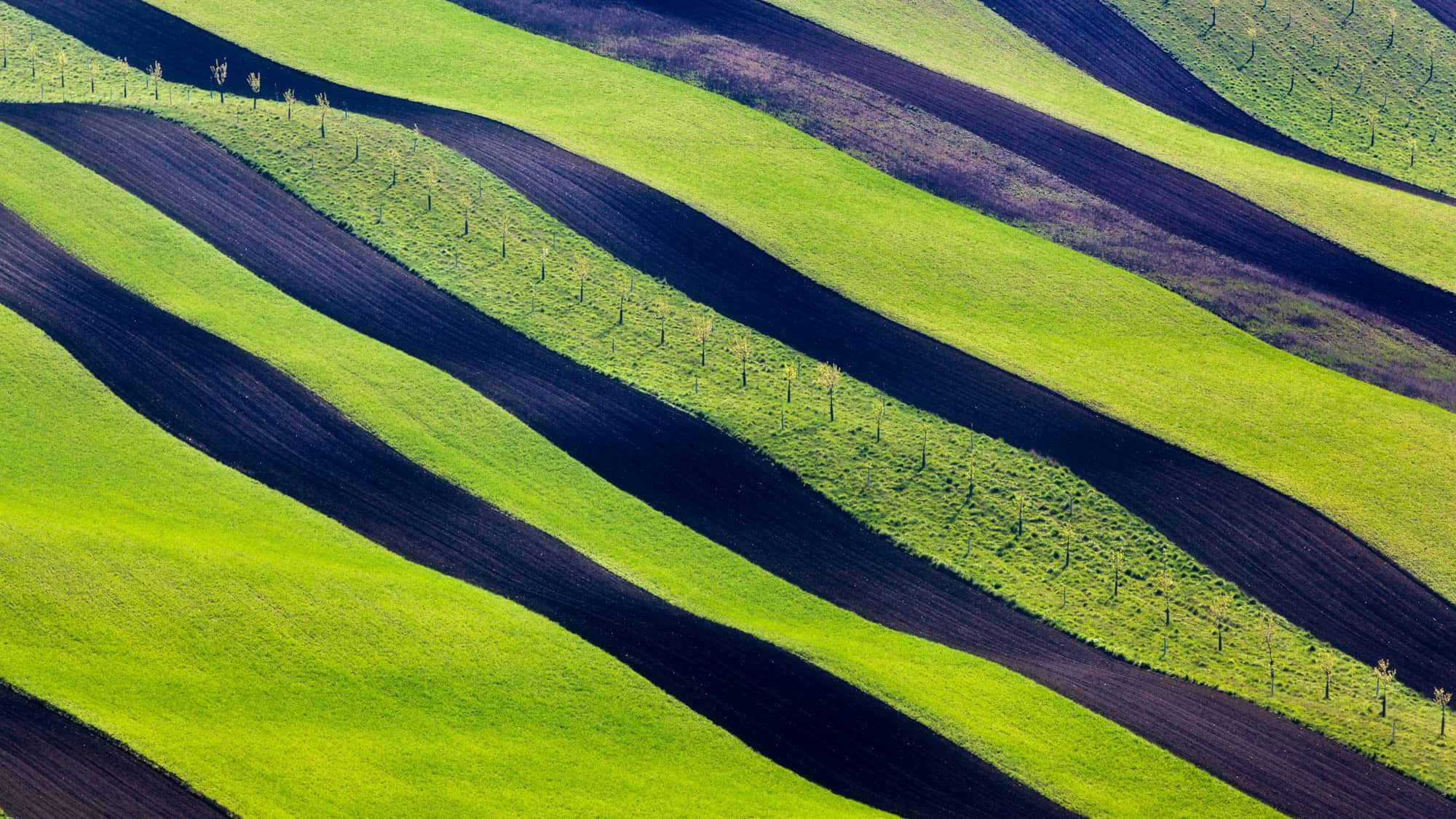 A striking aerial view of the rolling hills of South Moravia, Czech Republic, showing alternating stripes of bright green grass and dark tilled soil that create an abstract, wave-like pattern across the landscape.