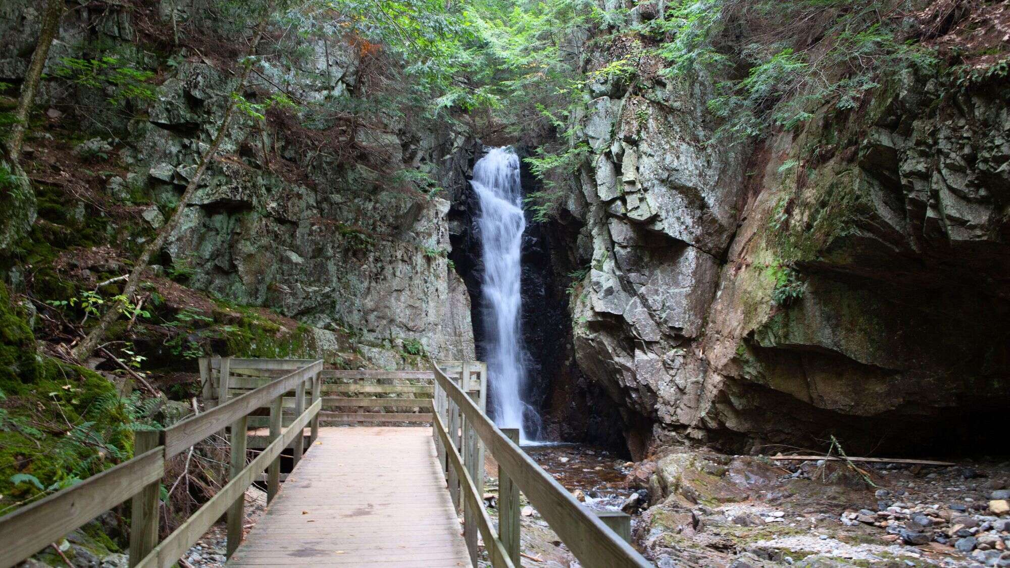 A wooden boardwalk leads through a narrow gorge toward a slender waterfall cascading between tall, moss-covered cliffs surrounded by lush forest.