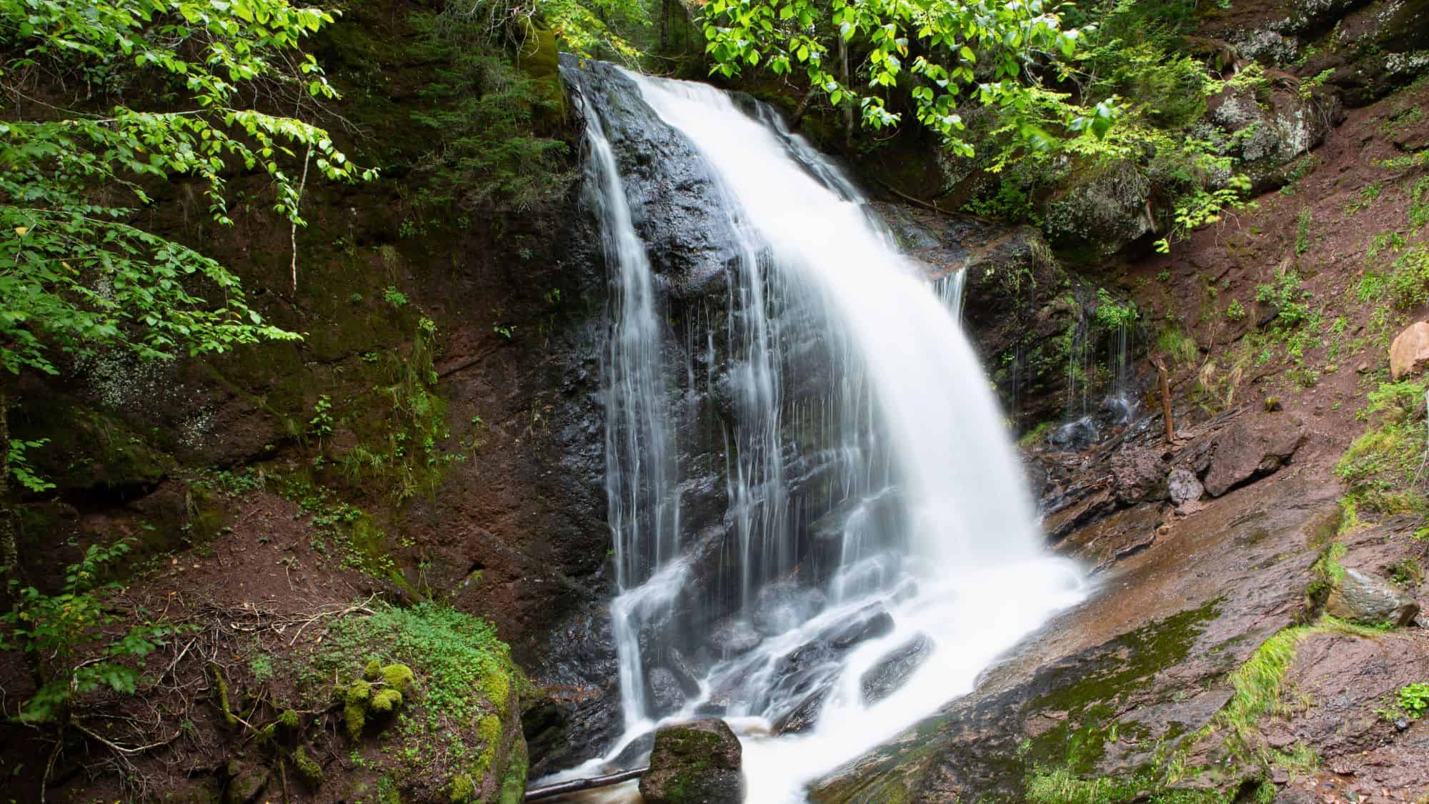 A medium-sized waterfall plunges down a rocky slope surrounded by deep green moss, ferns, and dense foliage, creating a peaceful forest setting.