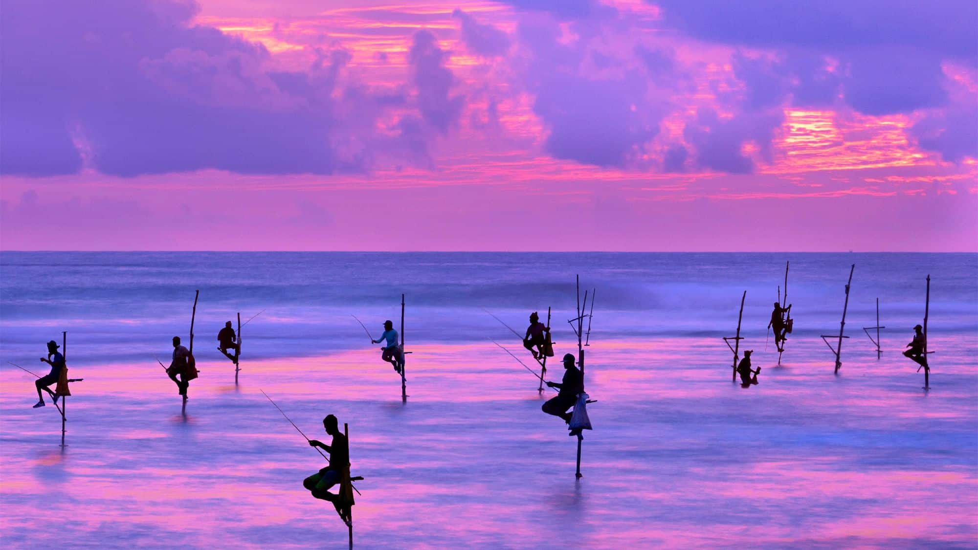 Silhouetted fishermen balance on traditional stilt poles in shallow coastal waters at sunset, casting lines into the gentle waves. The scene is drenched in dreamy purples and pinks, highlighting this unique Sri Lankan fishing method.