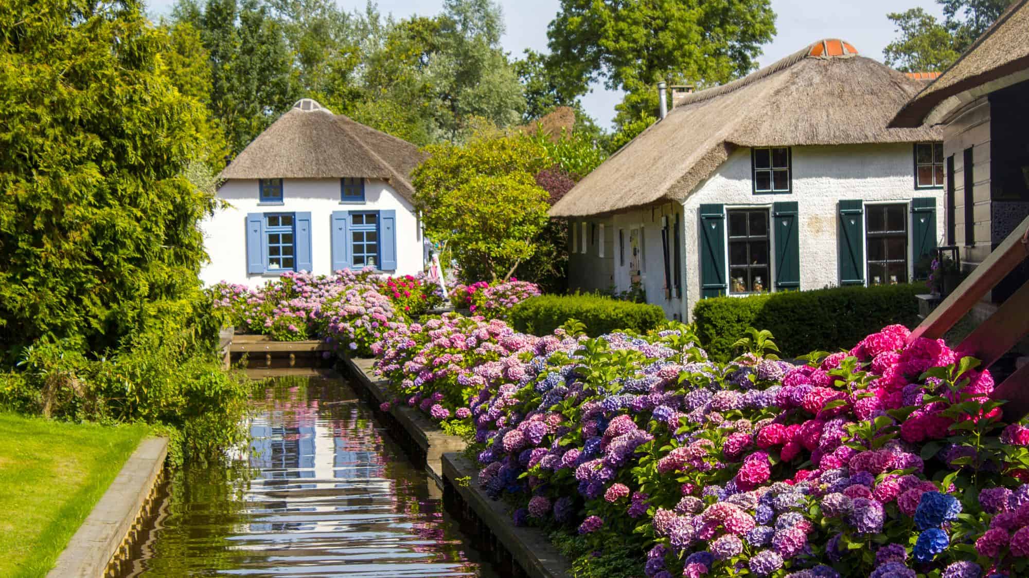 Thatched-roof cottages surrounded by vibrant hydrangeas line peaceful canals, giving this Dutch village its nickname, the “Venice of the North.”