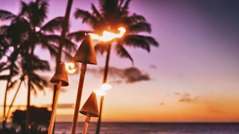 Three tiki torches blaze against a dreamy purple and orange Hawaiian sunset, with silhouettes of palm trees swaying in the background.