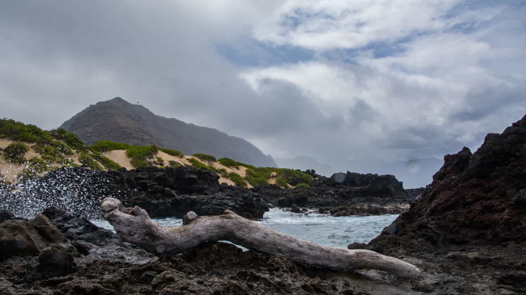 A dramatic, rocky coastline at Kaʻena Point with a weathered driftwood log in the foreground, rough surf splashing against black volcanic rock and a misty mountain backdrop.