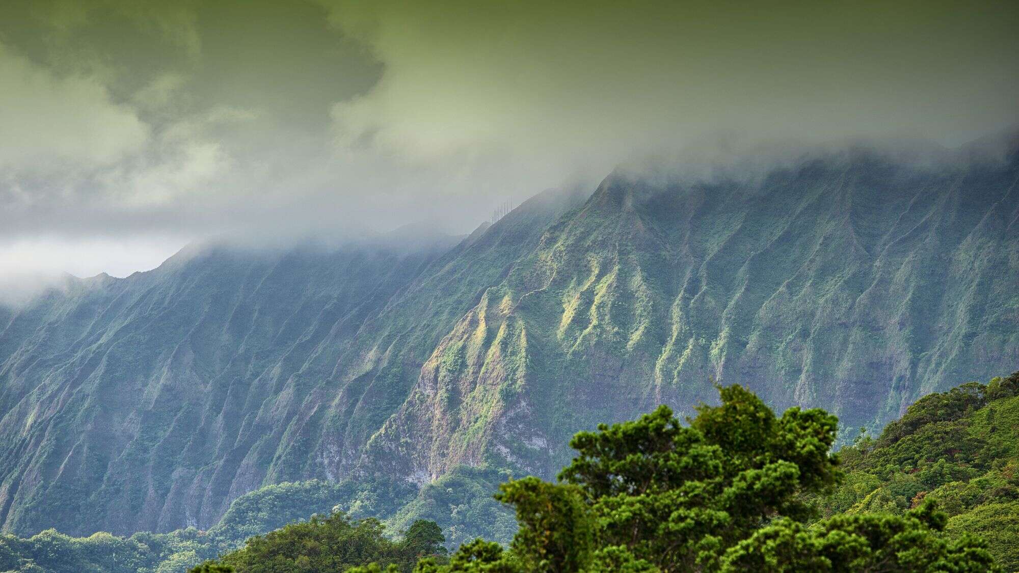 Clouds drift over the steep, ridged cliffs of Nuʻuanu Pali on Oʻahu, their green slopes disappearing into the mist.