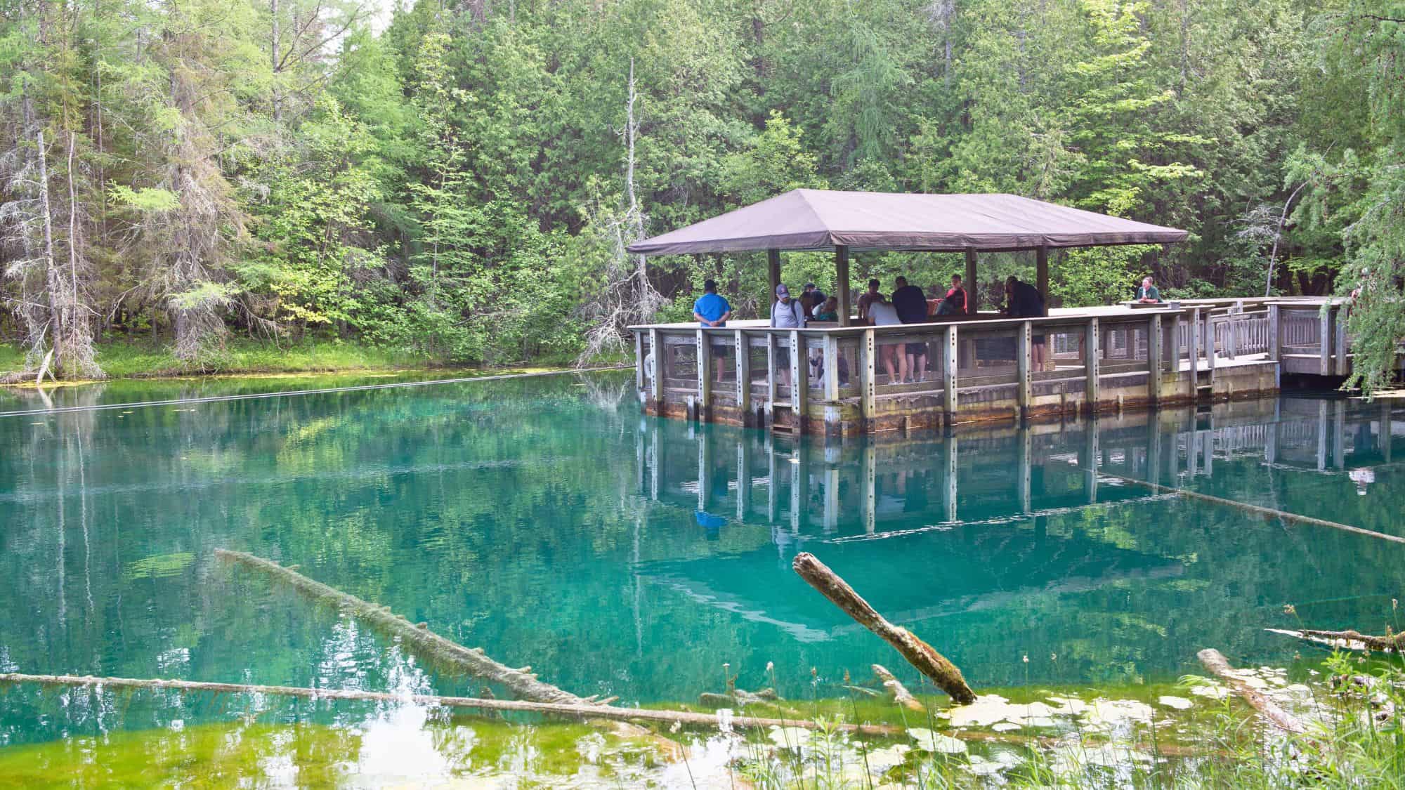 Floating observation raft with people looking down into the vibrant turquoise waters of Michigan’s largest natural freshwater spring, encircled by forest.