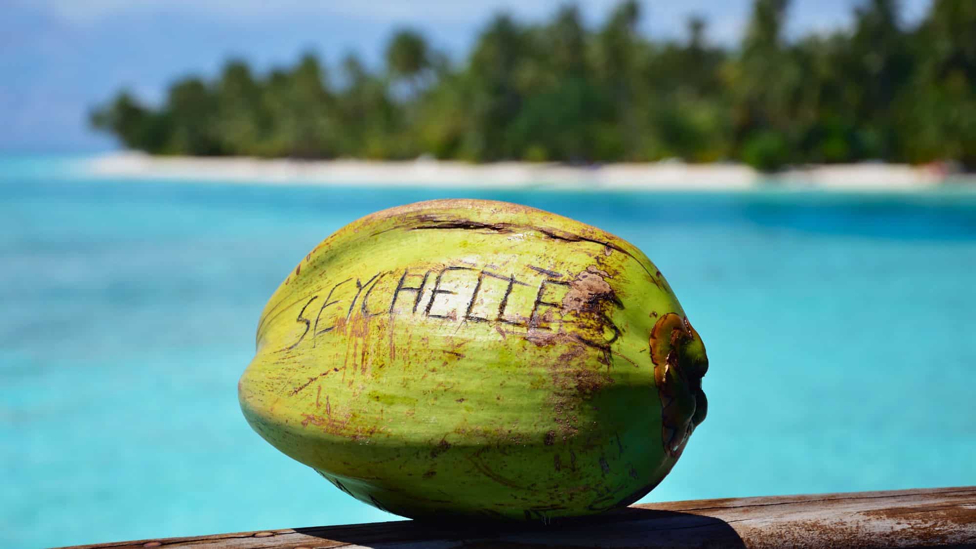 A green coconut with the word “SEYCHELLES” etched into its surface sits on a wooden railing with bright turquoise water and a tropical island blurred in the background.