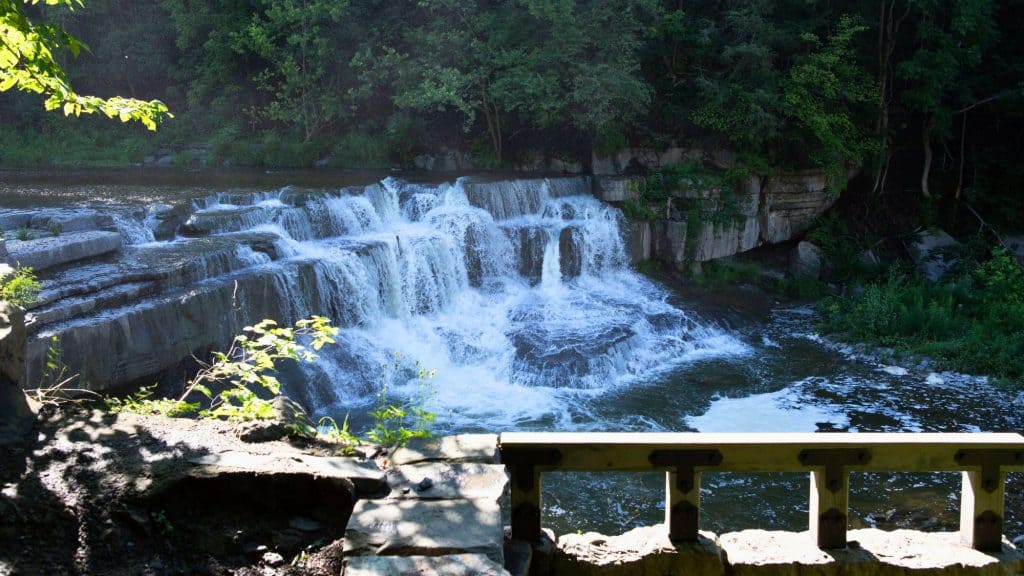 Water rushes over a series of rocky steps forming a short but wide waterfall, viewed from a sun-dappled overlook with a wooden railing.