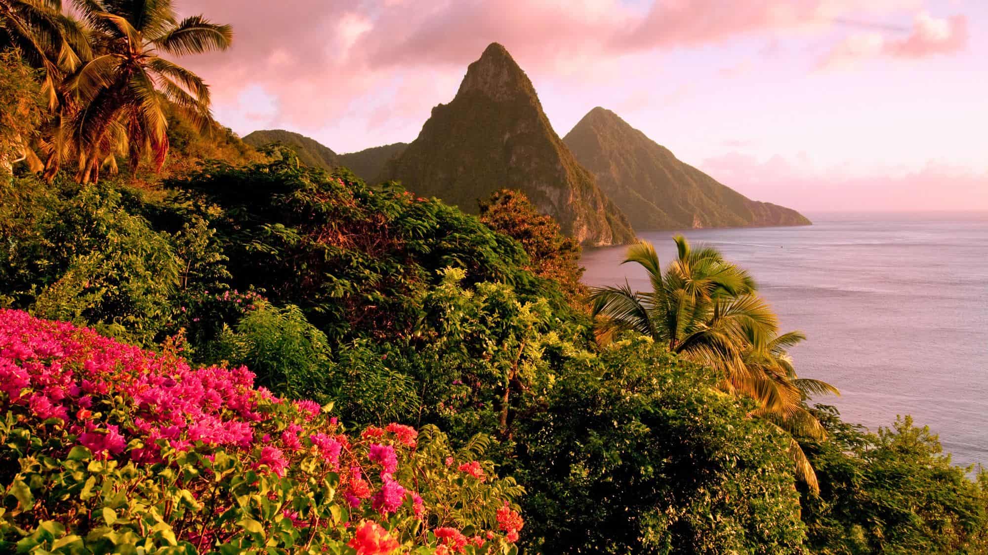 The Pitons silhouetted against a glowing sunset sky, with vibrant pink bougainvillea and lush tropical foliage in the foreground.