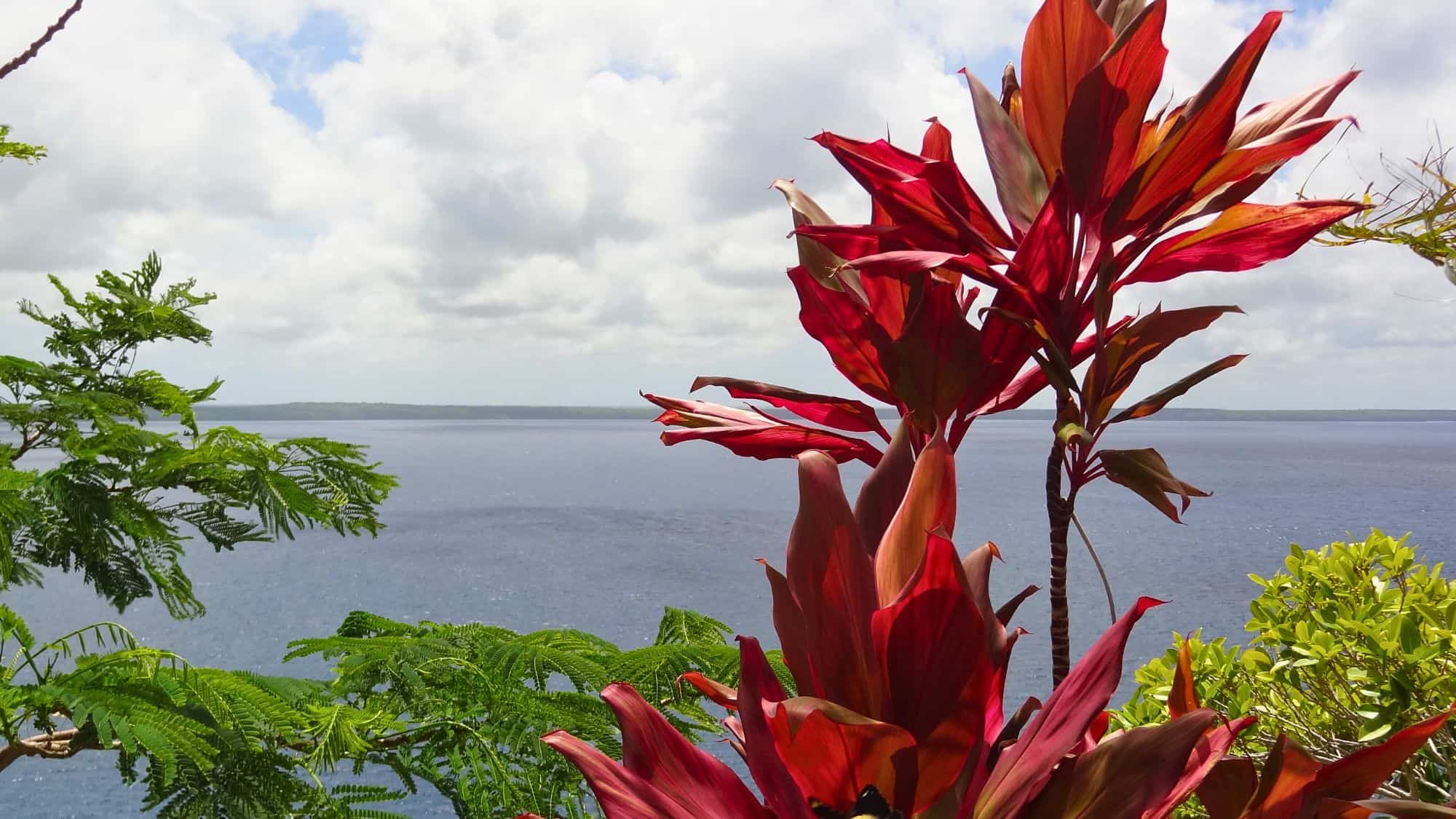 Close-up of vibrant red Hawaiian ti leaves and green tropical foliage framing a view of the Pacific Ocean under a partly cloudy sky.