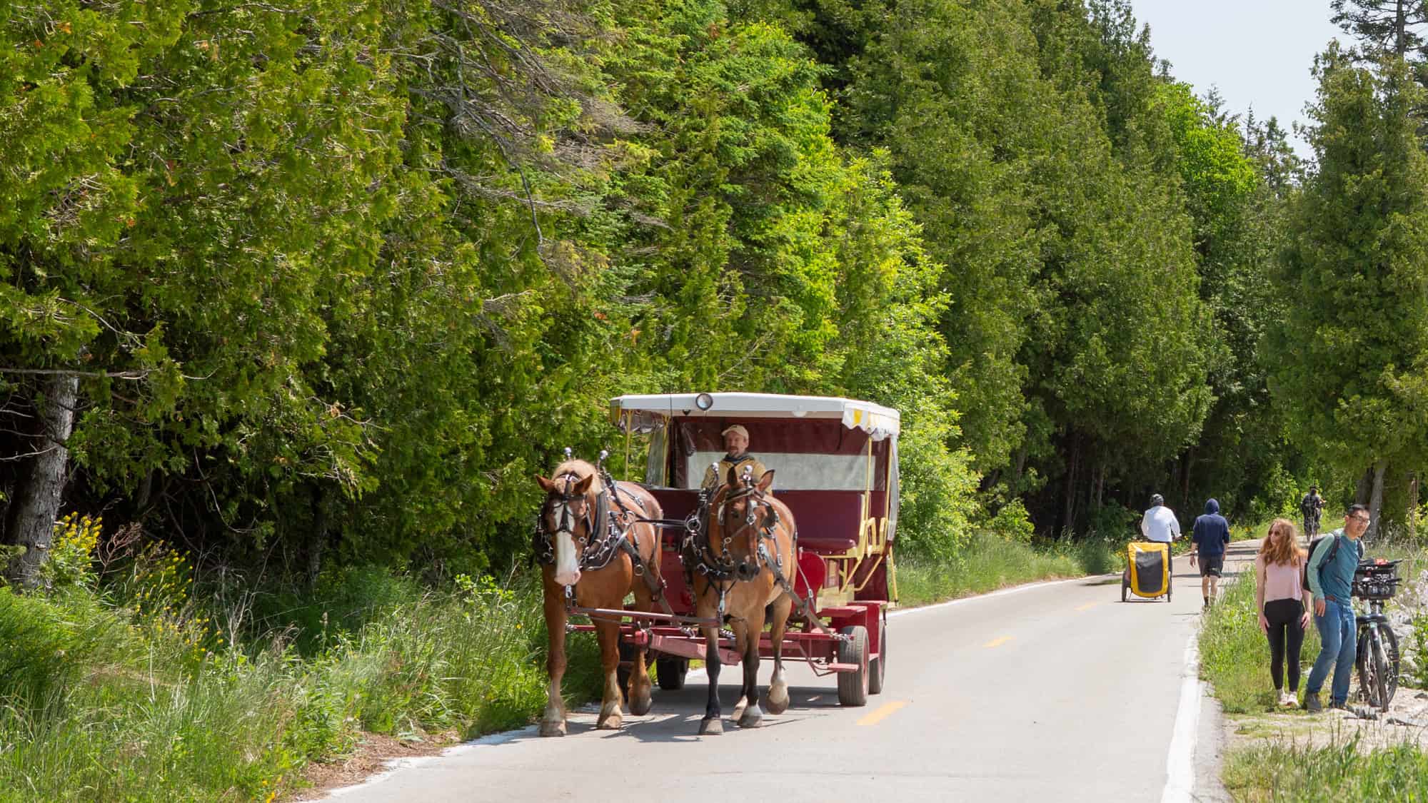 Horse-drawn carriage with a red and yellow canopy moves along a wooded road on Mackinac Island, sharing the path with cyclists and pedestrians.