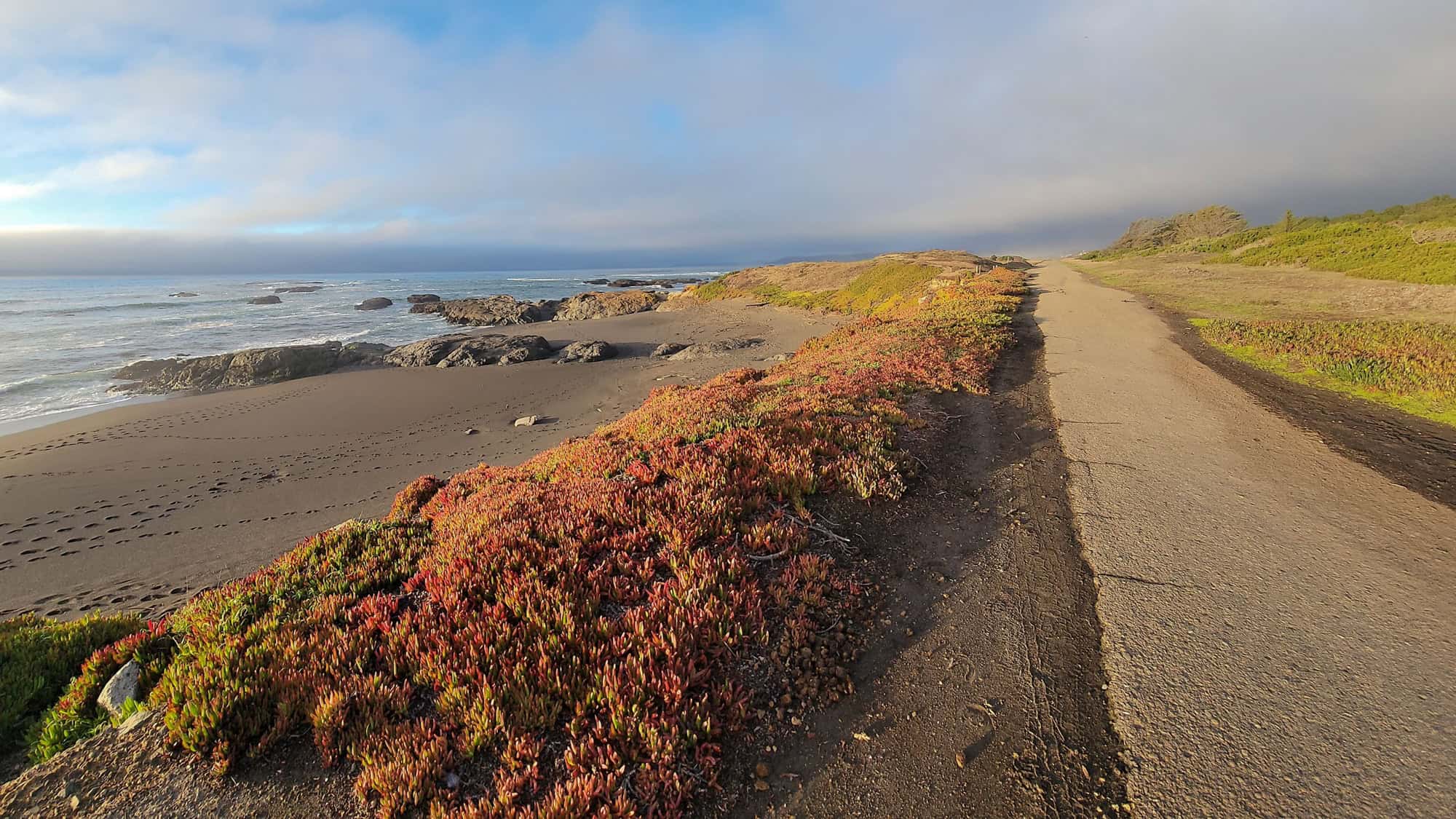 A peaceful coastal trail running parallel to the ocean, with dark sand beaches, scattered rocks, and low colorful succulents leading into soft morning fog.