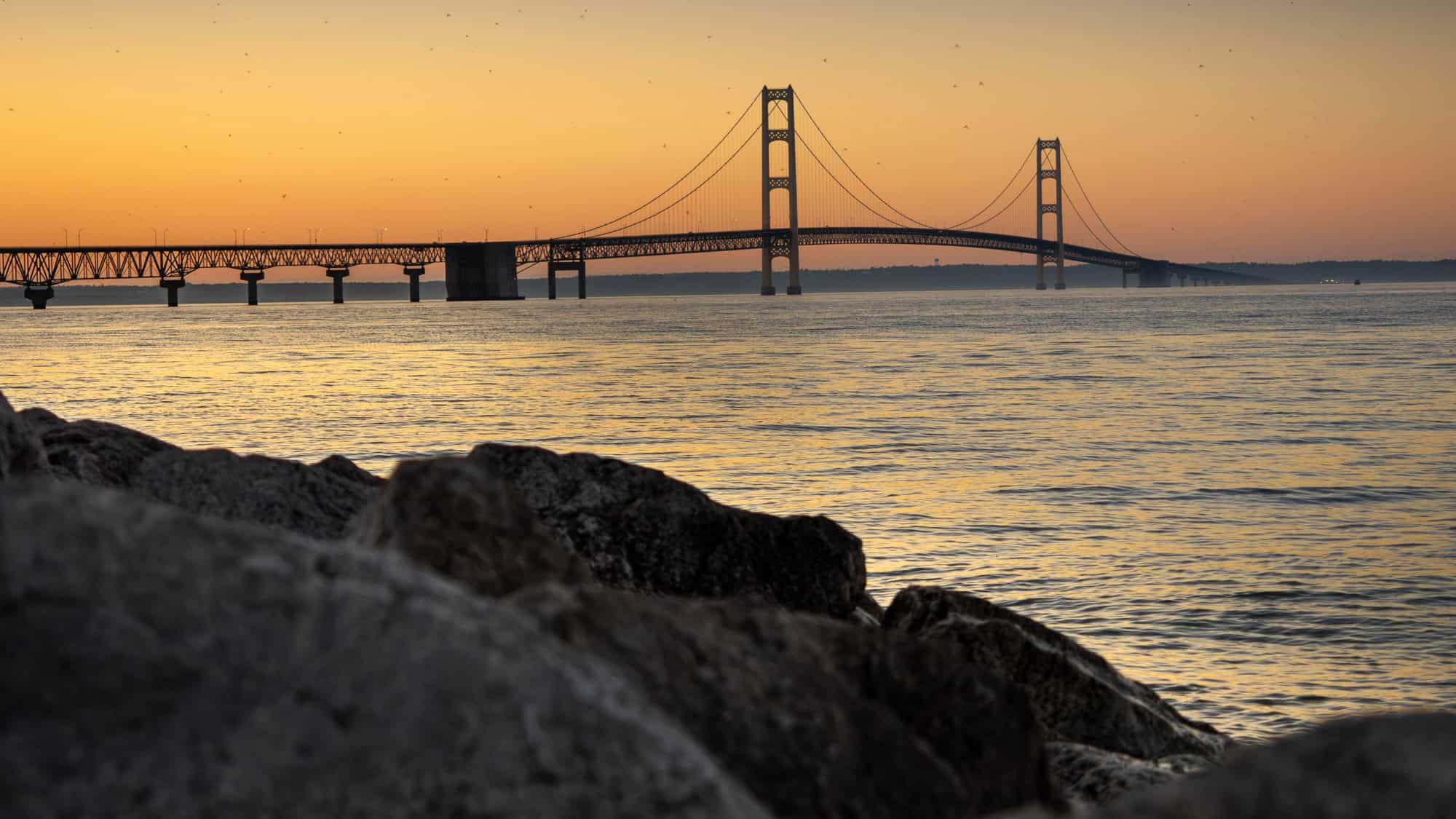 A golden sunset casts a warm glow over the Mackinac Bridge as it spans the calm waters of the Straits of Mackinac, with rocky shoreline in the foreground and birds faintly dotting the sky.