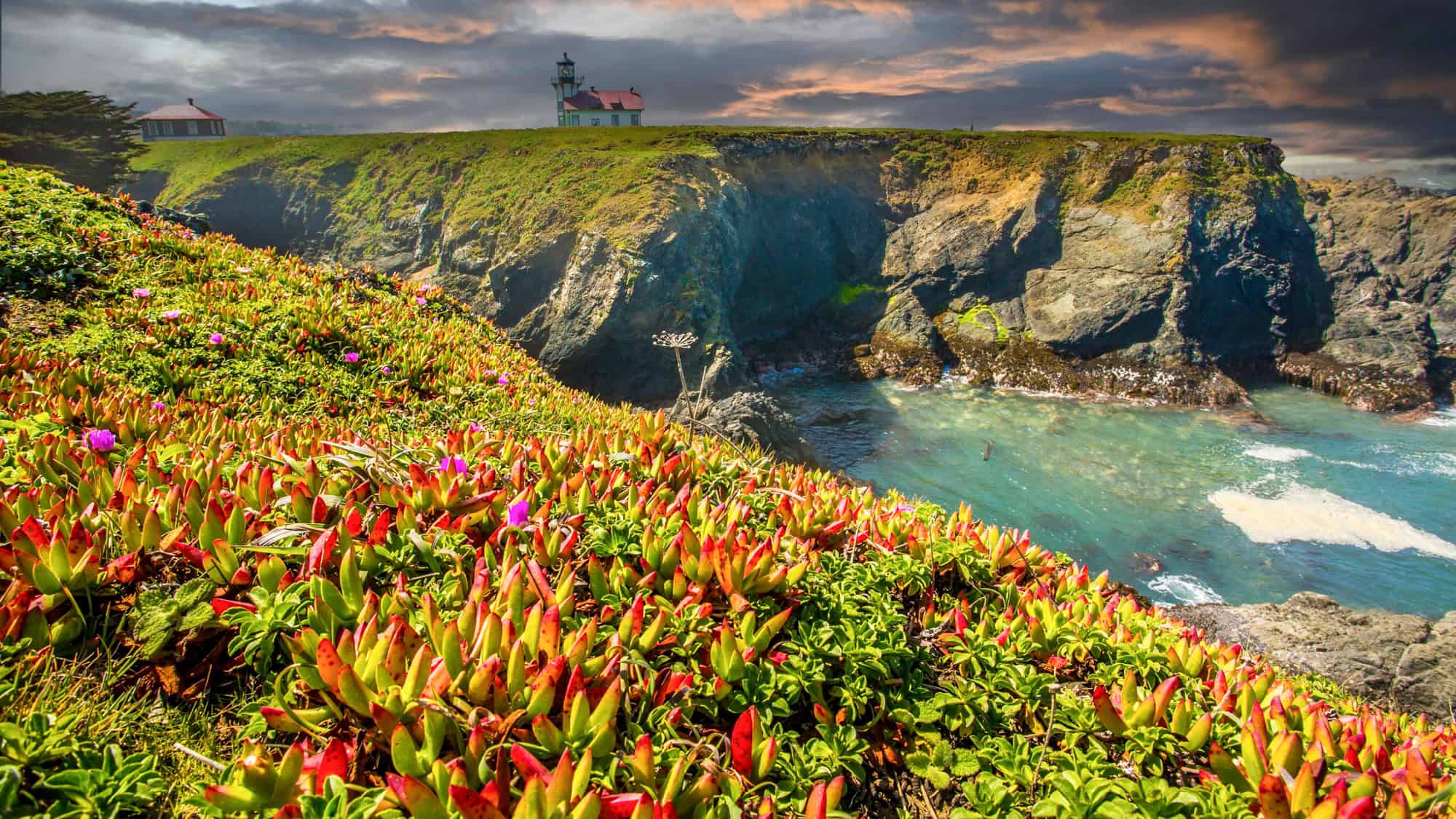 A vibrant coastal bluff blanketed in ice plant with red and green leaves, leading up to a historic lighthouse perched dramatically above rugged cliffs and teal-blue water at sunset.