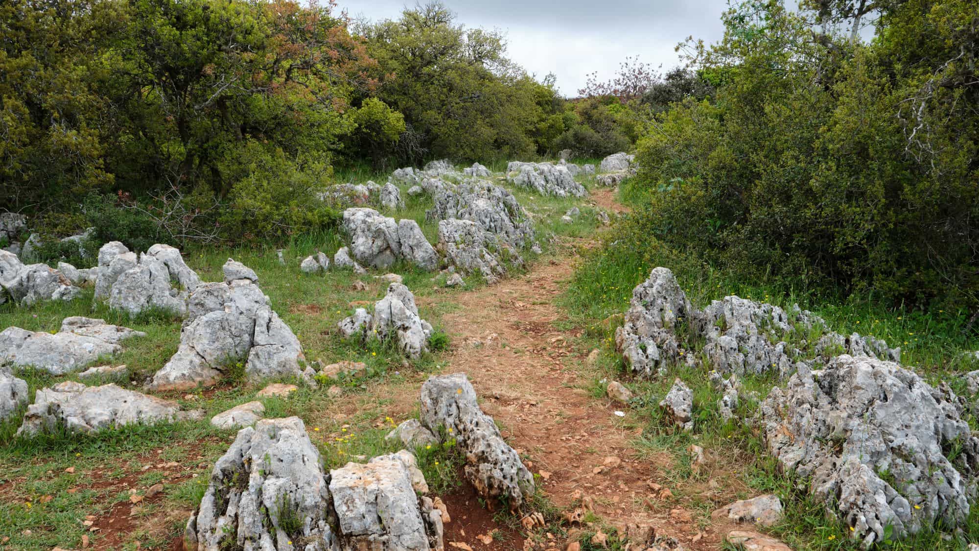 A narrow dirt trail winds through a rocky, green woodland dotted with jagged limestone outcrops and surrounded by dense, leafy trees under a cloudy sky, capturing the rugged charm of Jordan's Ajloun Forest Reserve.







