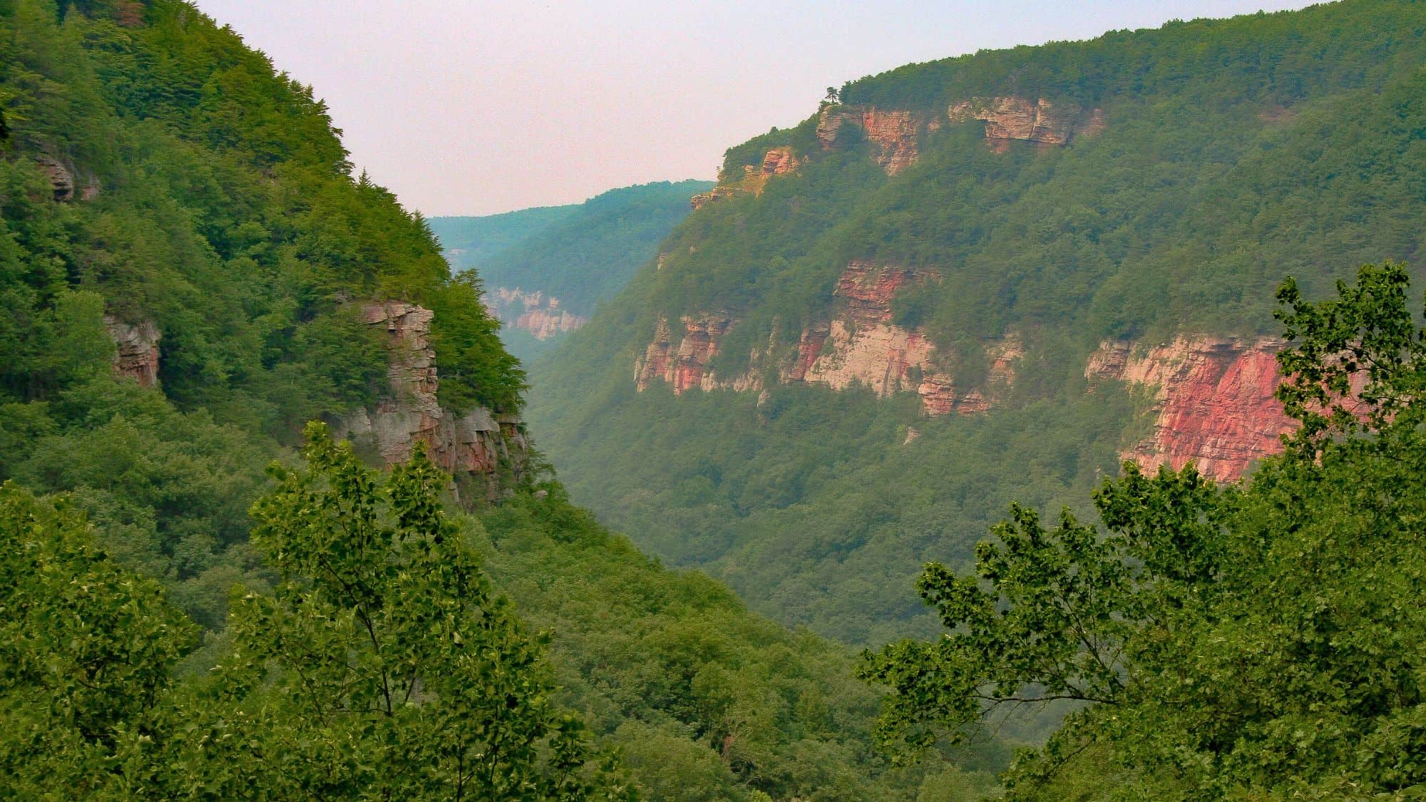 A sweeping view into Cloudland Canyon, where lush green trees cling to dramatic, steep cliffs with streaks of pink and white rock formations.