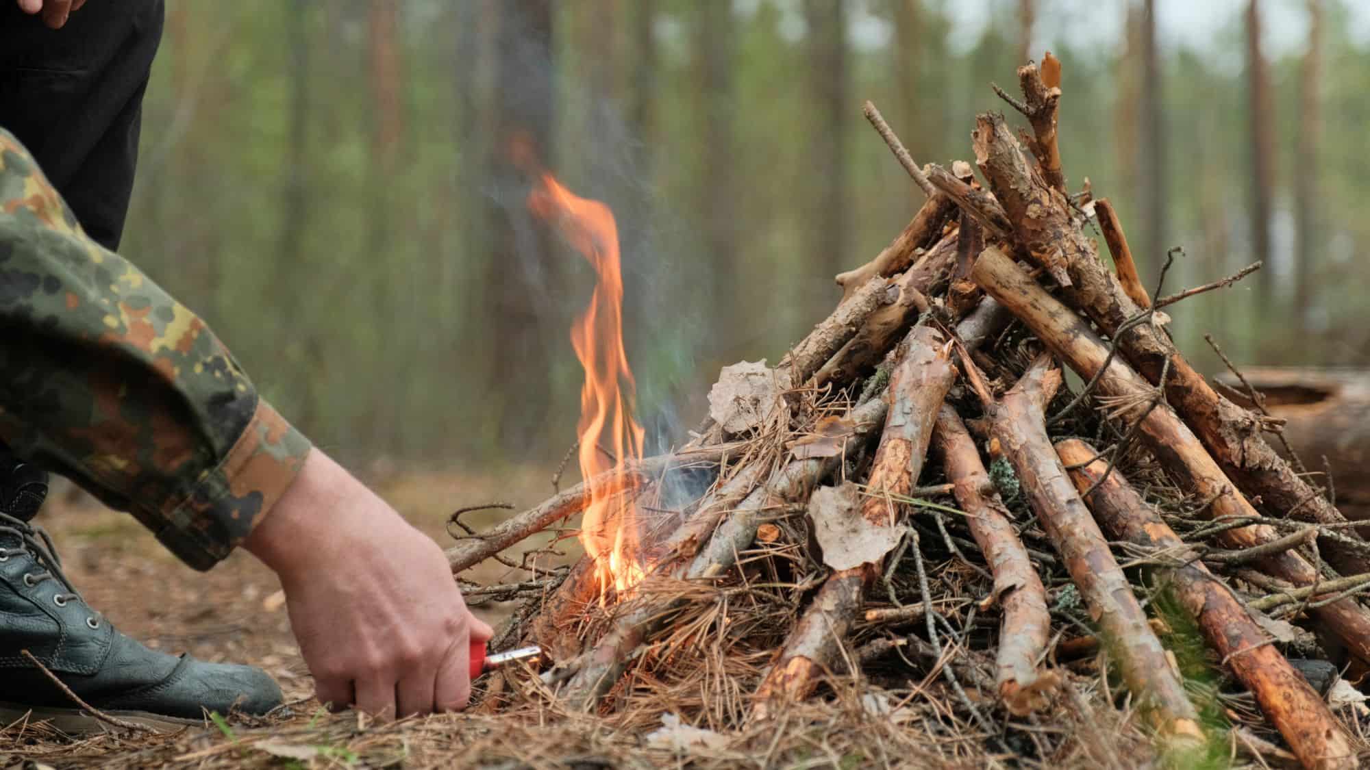 Close-up of a person in camouflage lighting a pyramid-style wood fire using a red lighter, surrounded by dry pine needles in a forest clearing.