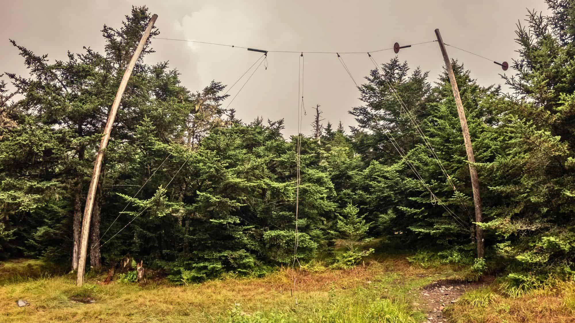 A wilderness food storage pole system is strung between two tall logs in a grassy clearing, designed to suspend items safely out of reach of wildlife.