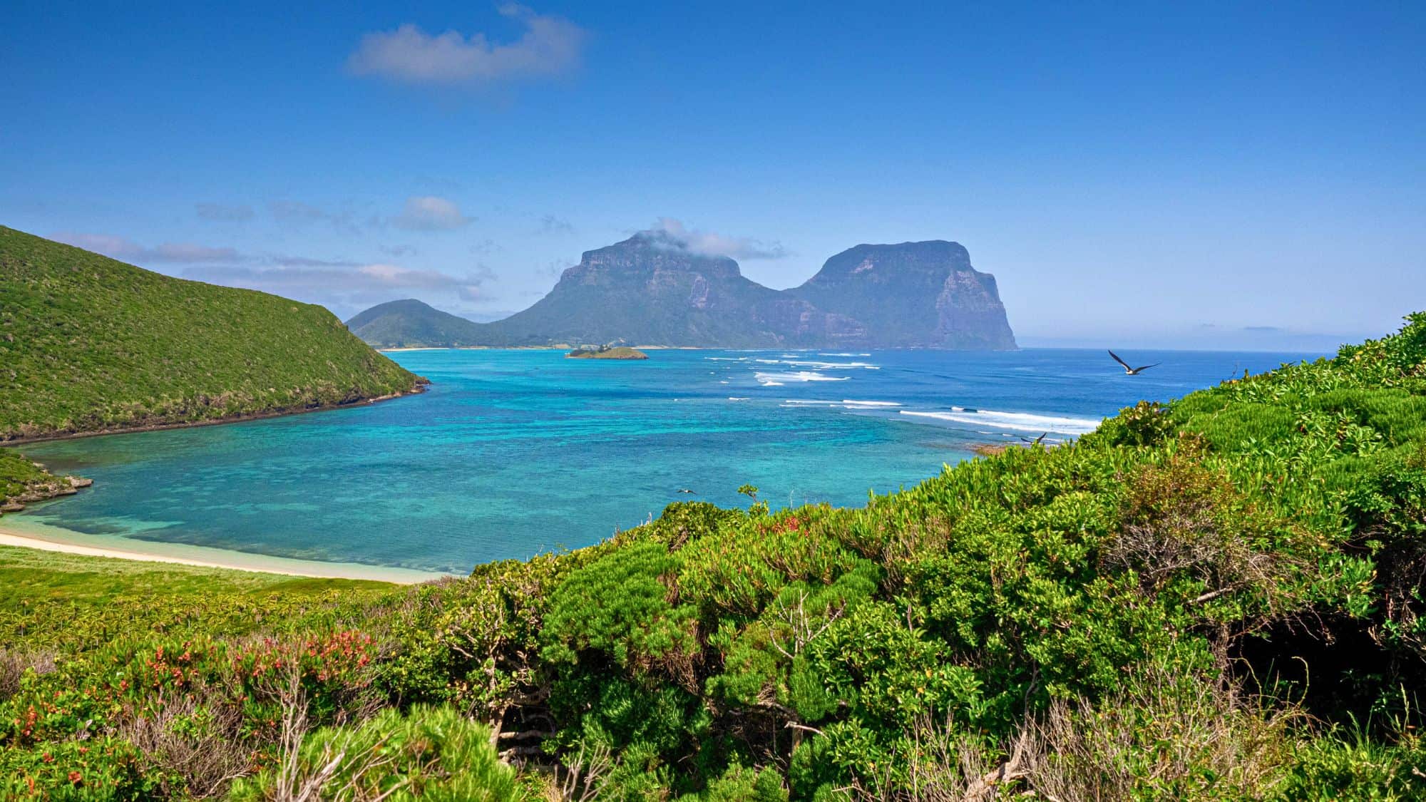 Turquoise waters and lush green cliffs define the untouched beauty of Lord Howe Island, with jagged volcanic peaks in the distance and a tropical bird soaring overhead.