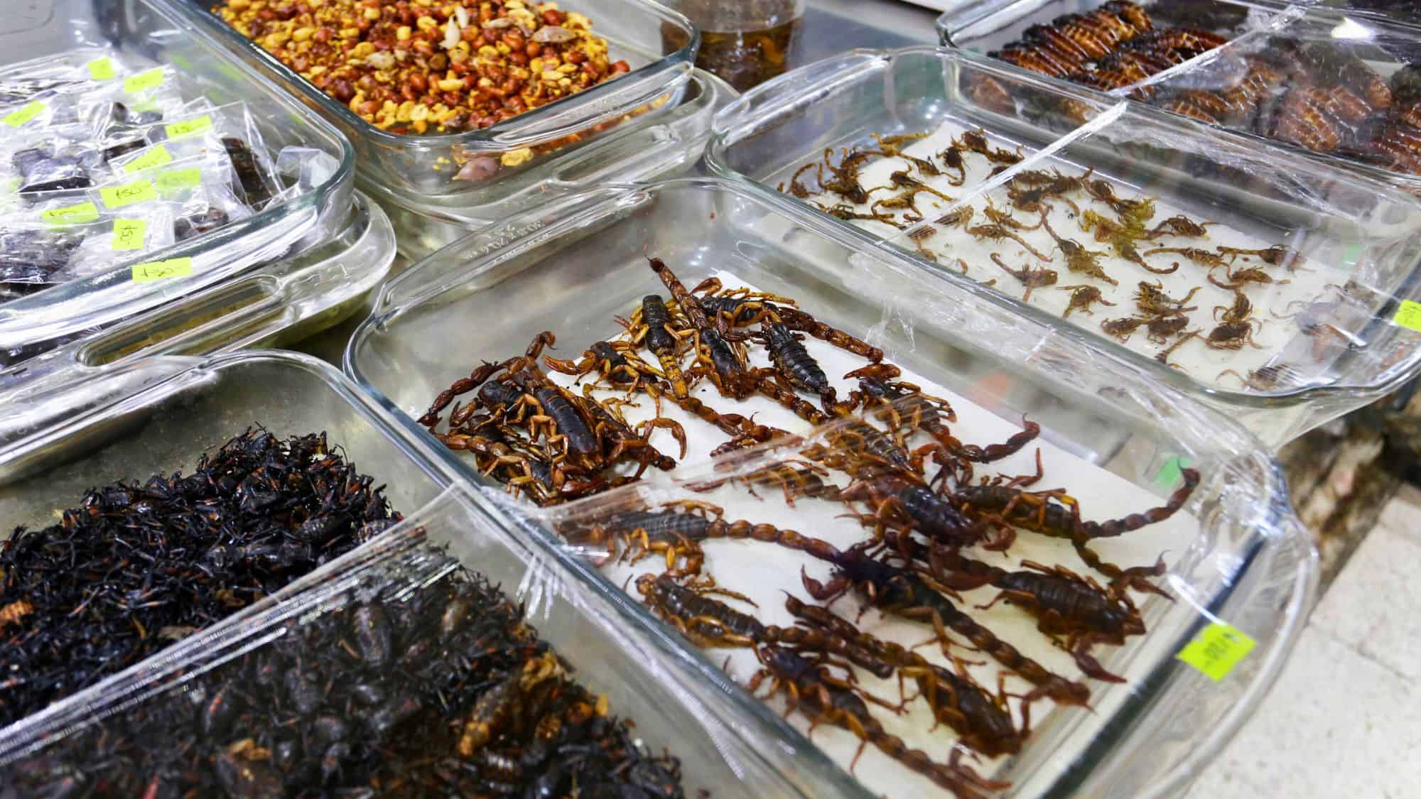 Trays of edible insects like scorpions, crickets, and beetles are displayed under plastic wrap at Mercado de San Juan in Mexico City, known for its selection of exotic foods.